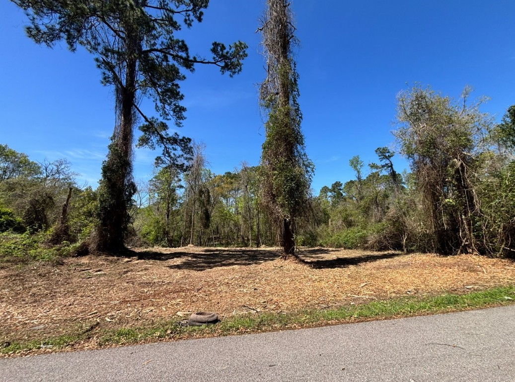 0 Timber Lakes Drive Property Photo 4