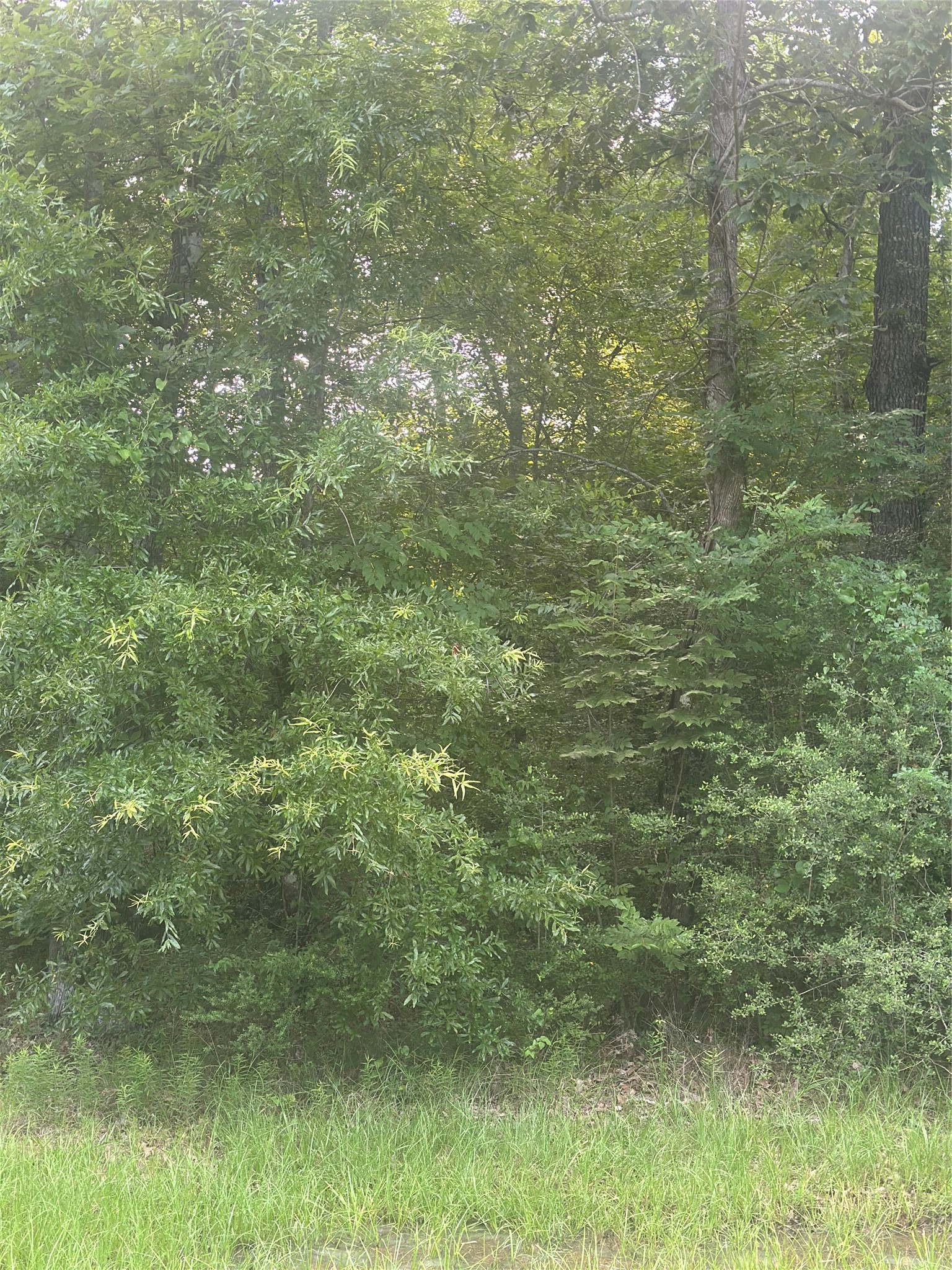 Tbd Knottypine Property Photo 1