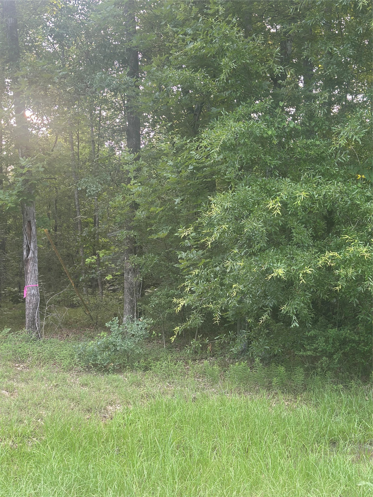 Tbd Knottypine Property Photo 2
