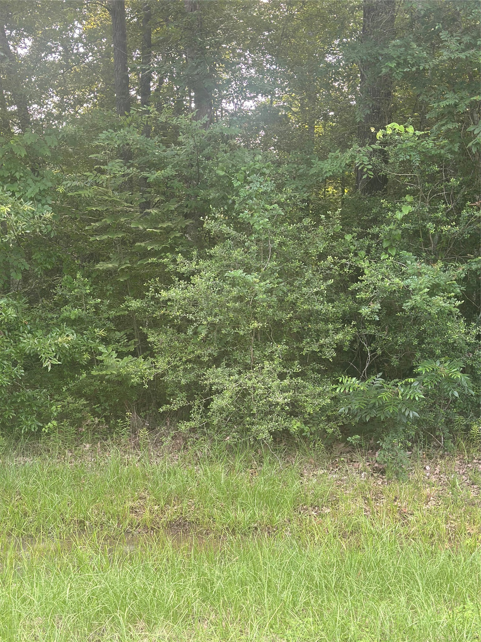 Tbd Knottypine Property Photo 3