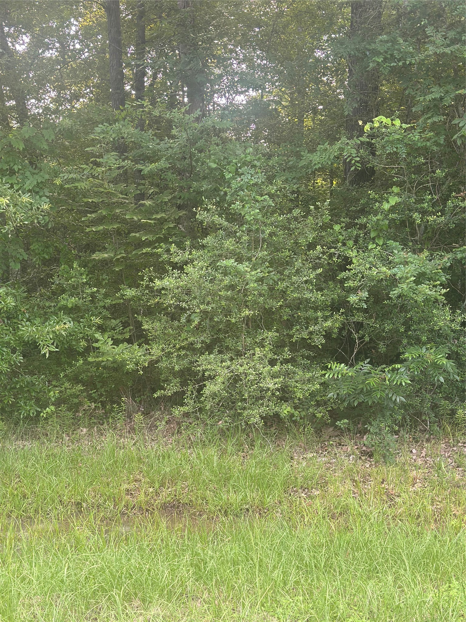 Tbd Knottypine Property Photo 4