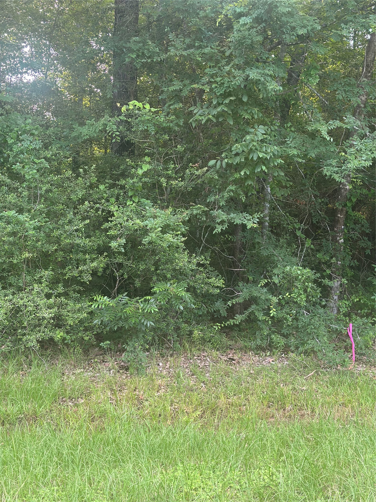 Tbd Knottypine Property Photo 5