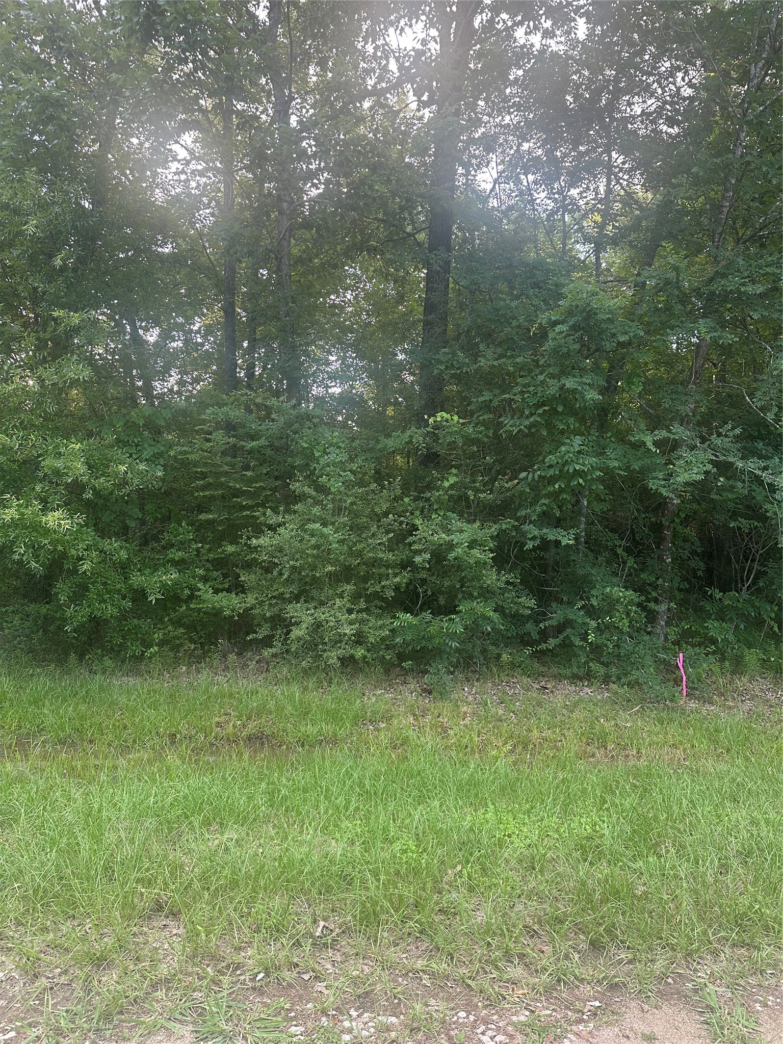 Tbd Knottypine Property Photo 6