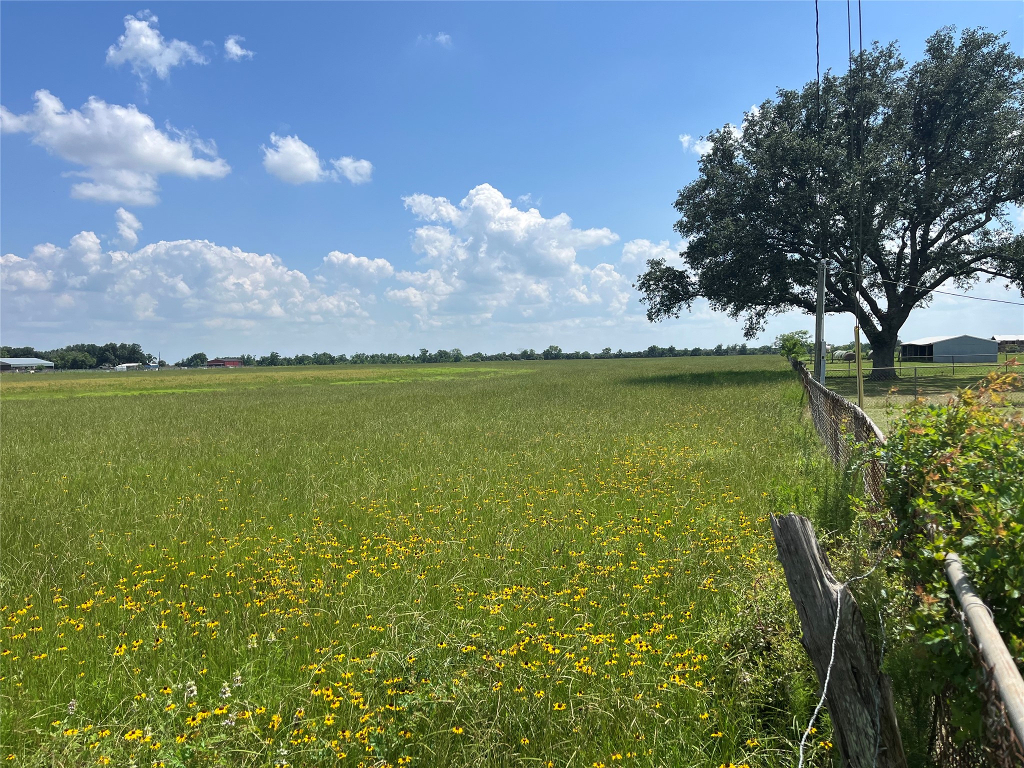 3575 Fm 1094 Road Property Photo 3
