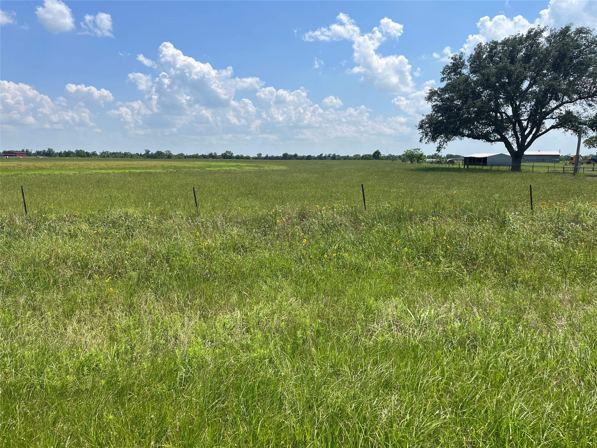 3575 Fm 1094 Road Property Photo 7