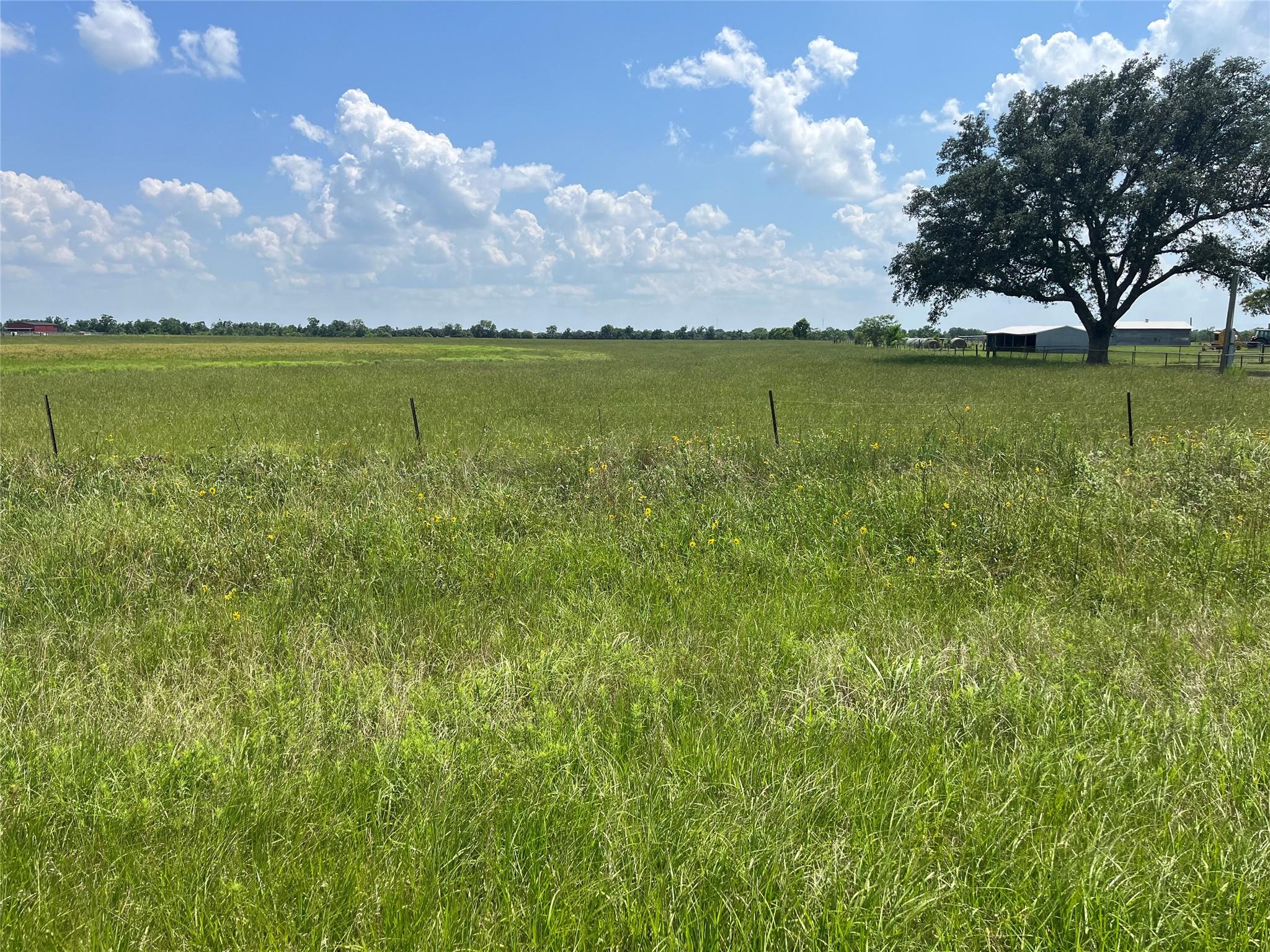3575 Fm 1094 Road, Sealy Tx 77474 Property Photo 8