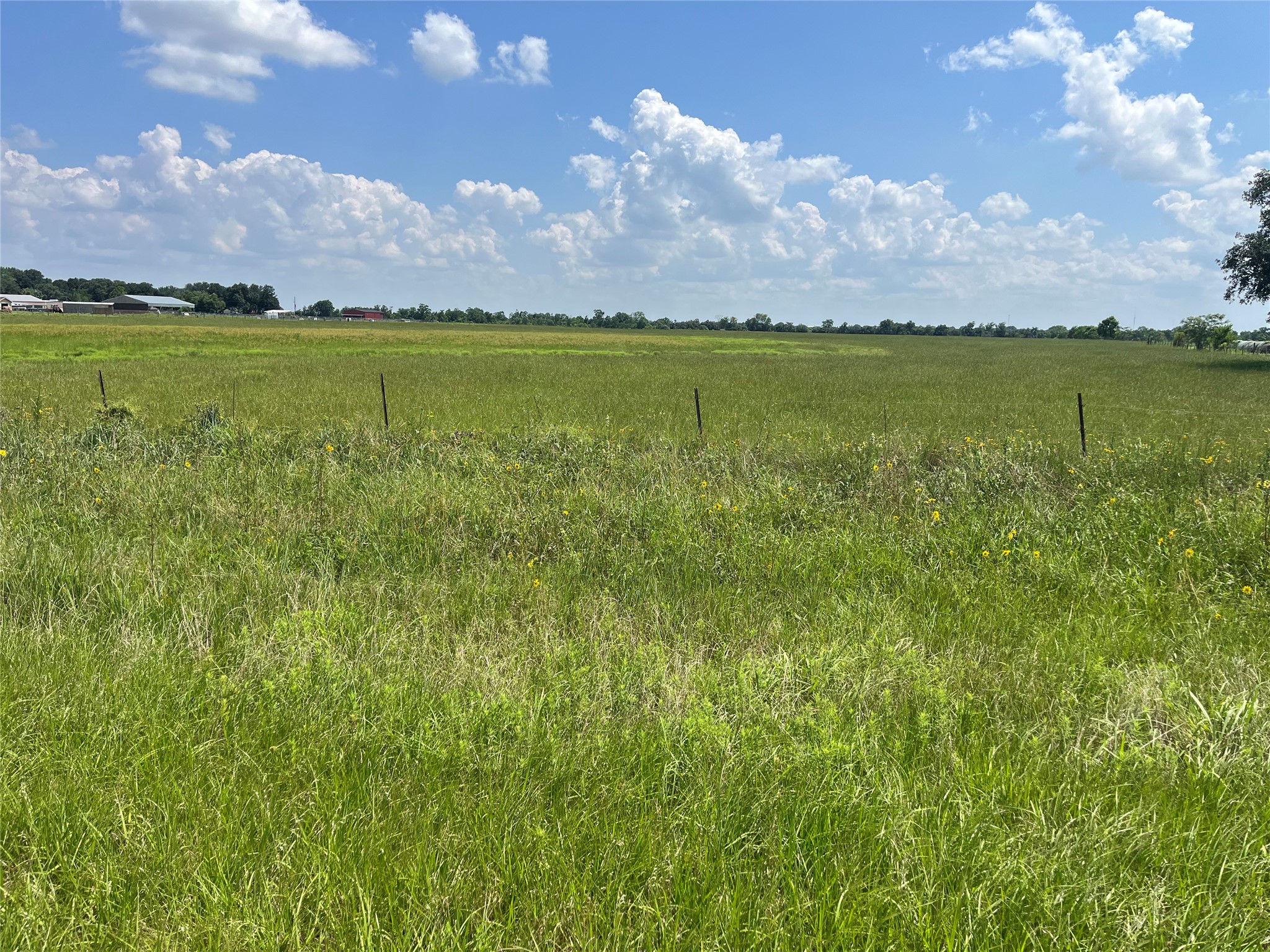3575 Fm 1094 Road Property Photo 9