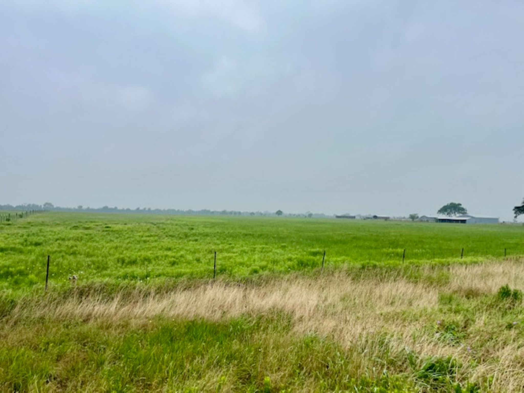 3575 Fm 1094 Road Property Photo 11