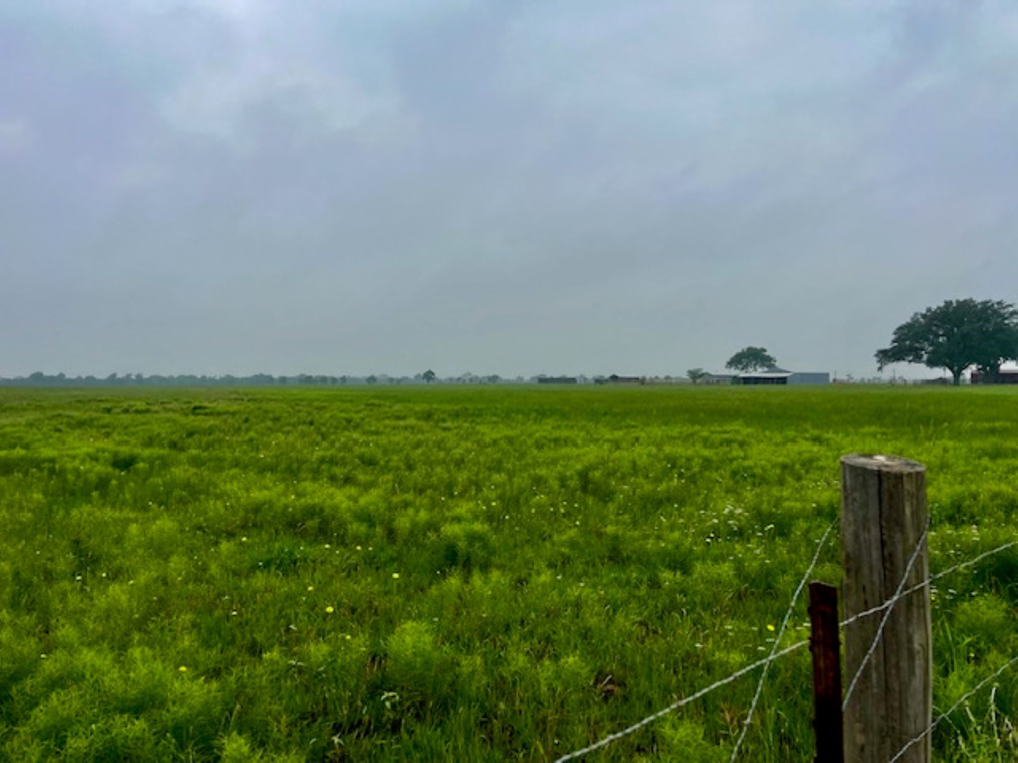 3575 Fm 1094 Road Property Photo 14