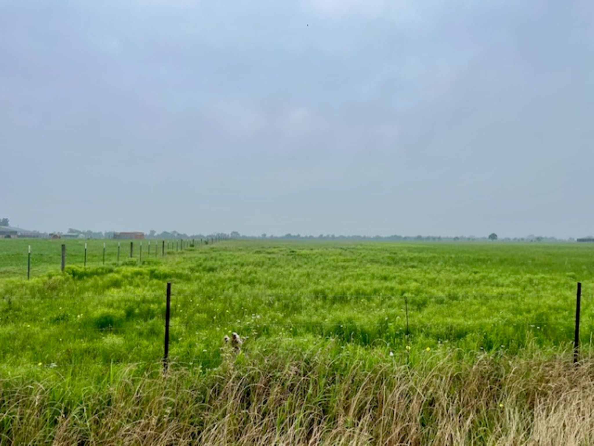 3575 Fm 1094 Road Property Photo 16