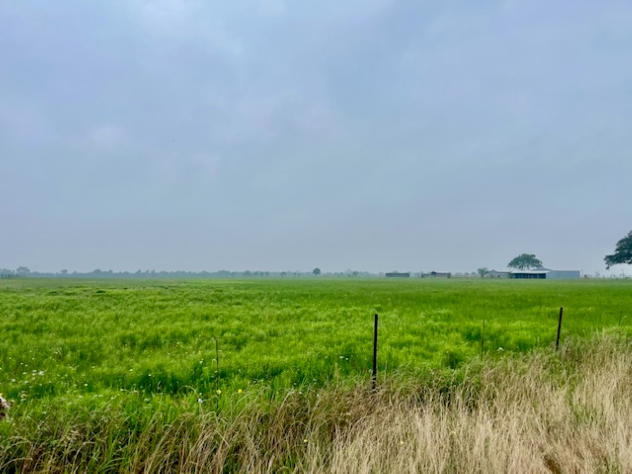 3575 Fm 1094 Road Property Photo 17