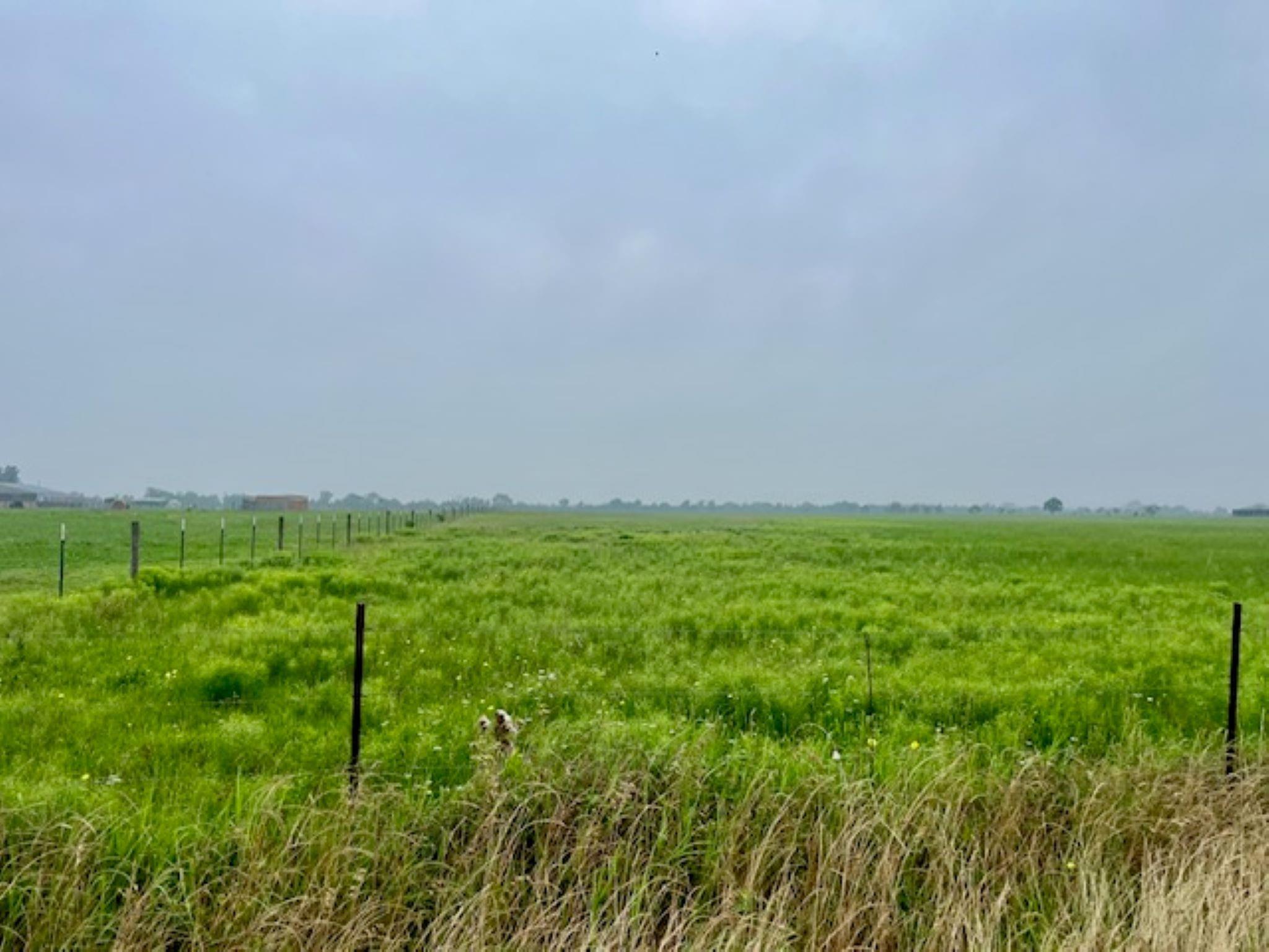 3575 Fm 1094 Road, Sealy Tx 77474 Property Photo 17