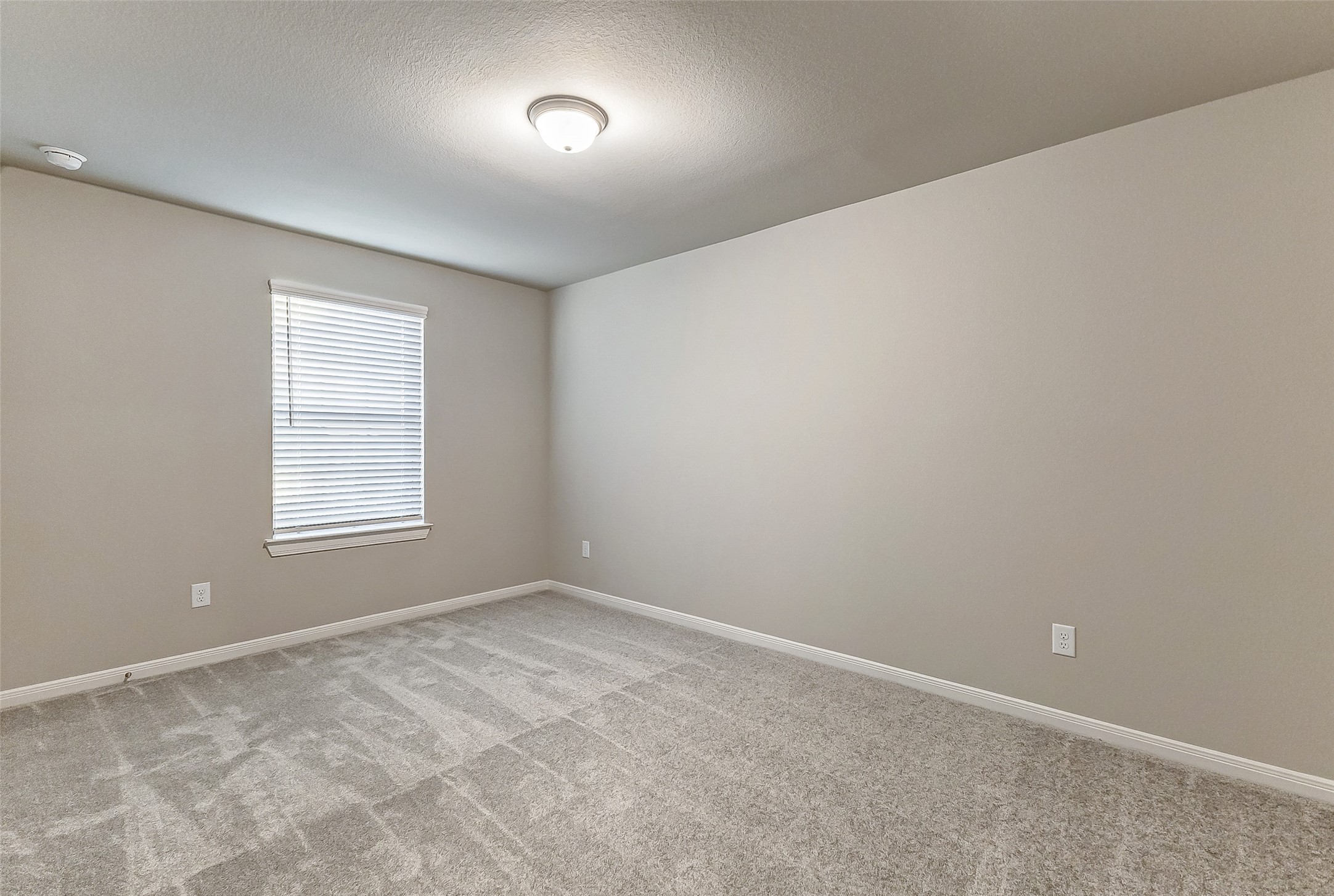 30302 Tall Fescue Property Photo 29