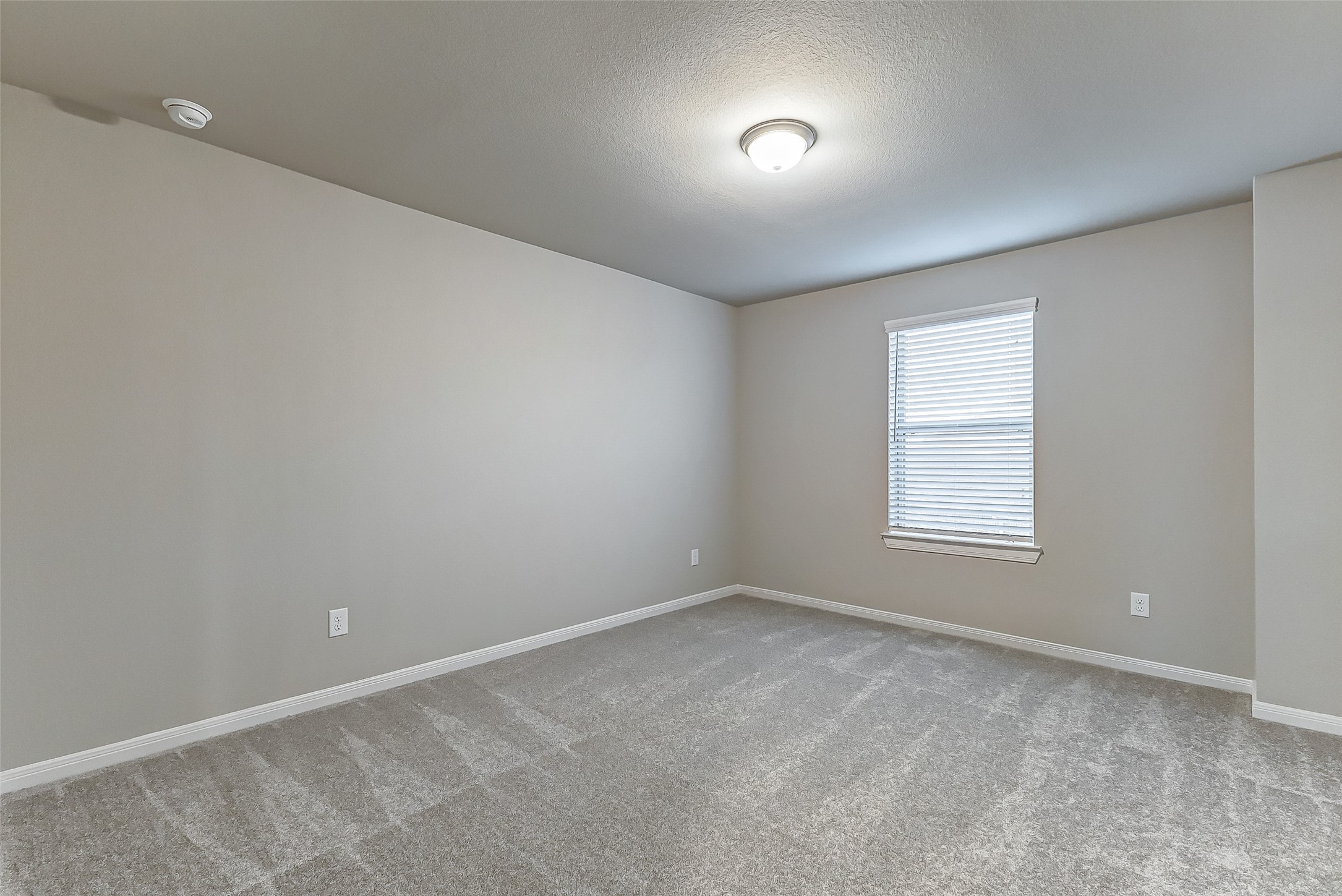 30302 Tall Fescue Property Photo 34