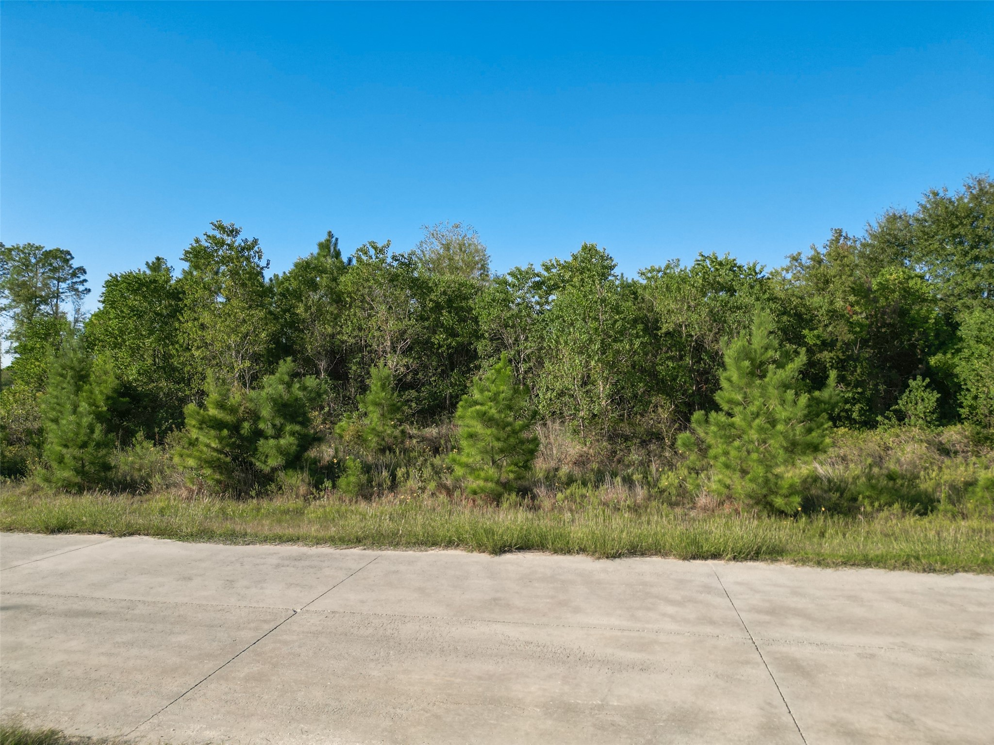 1180 County Road 5023 Property Photo 3