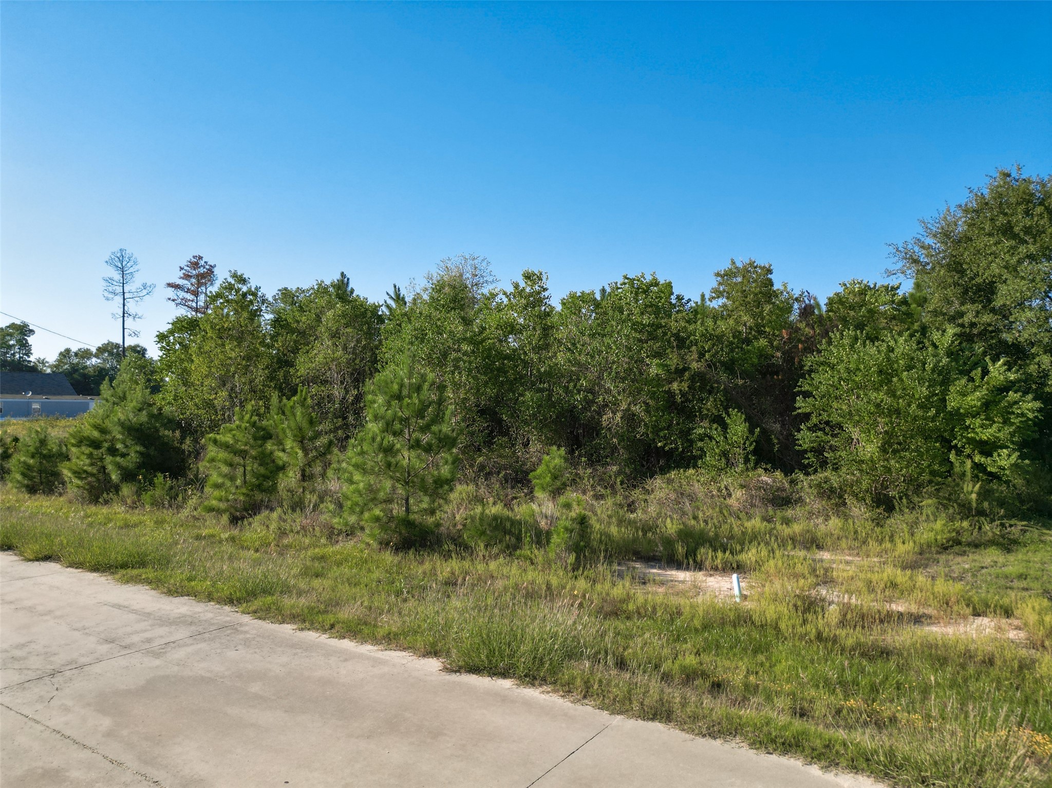1180 County Road 5023 Property Photo 4