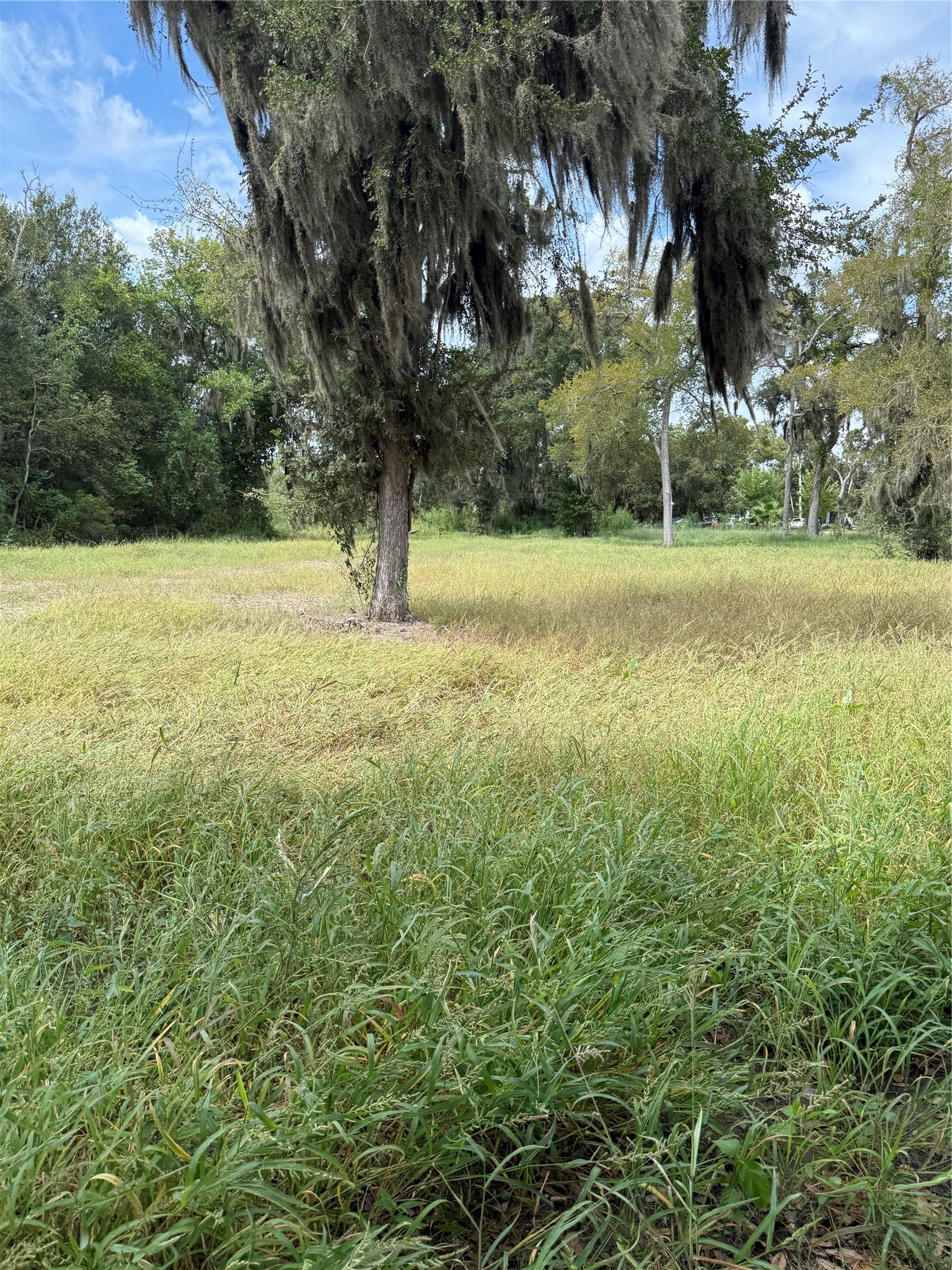 20432 Highway 35 Property Photo 14