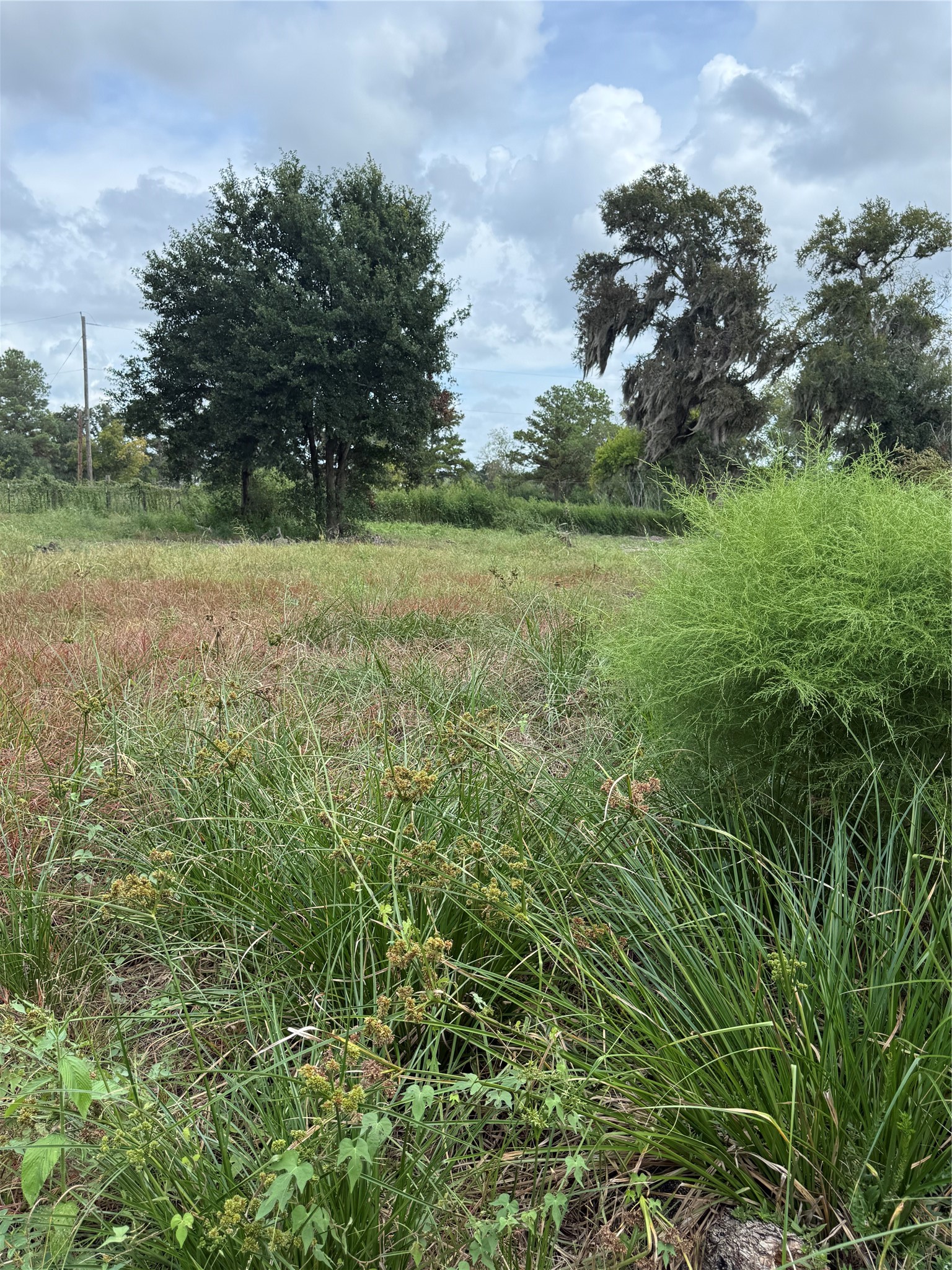 20432 Highway 35 Property Photo 16