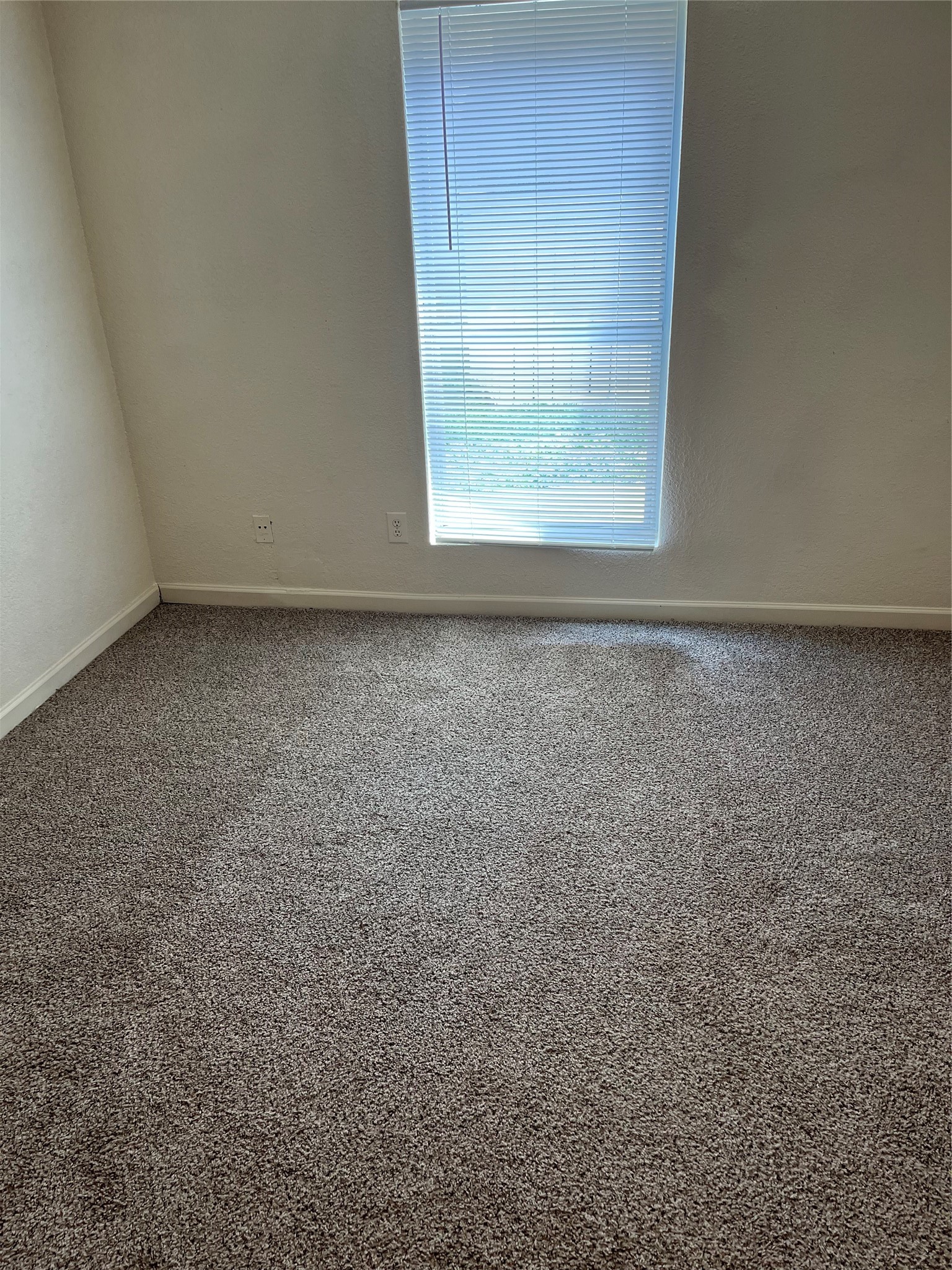 8100 Creekbend Drive 159 Property Photo 4