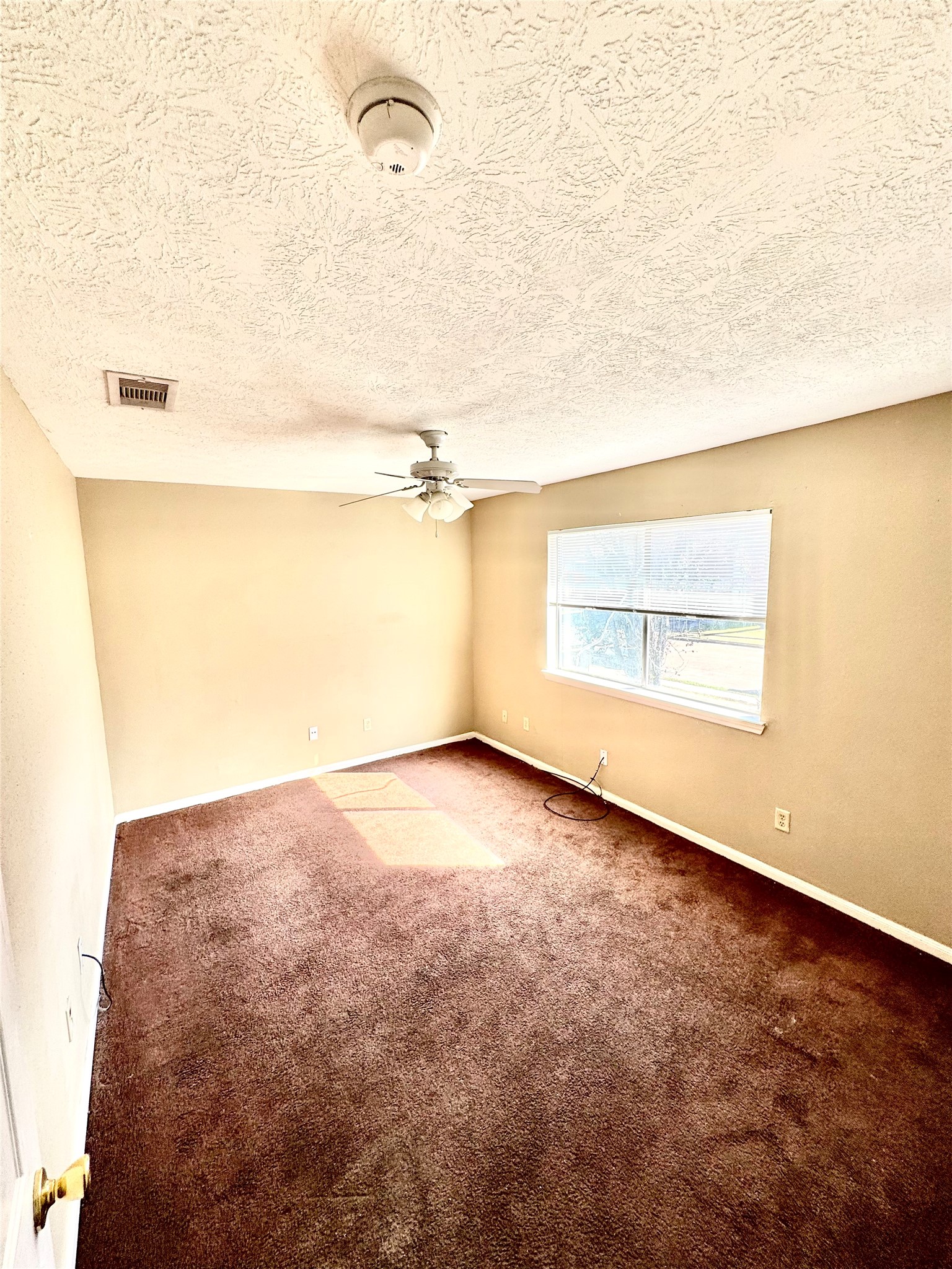 5668 Birchmont Drive 2 Property Photo 8