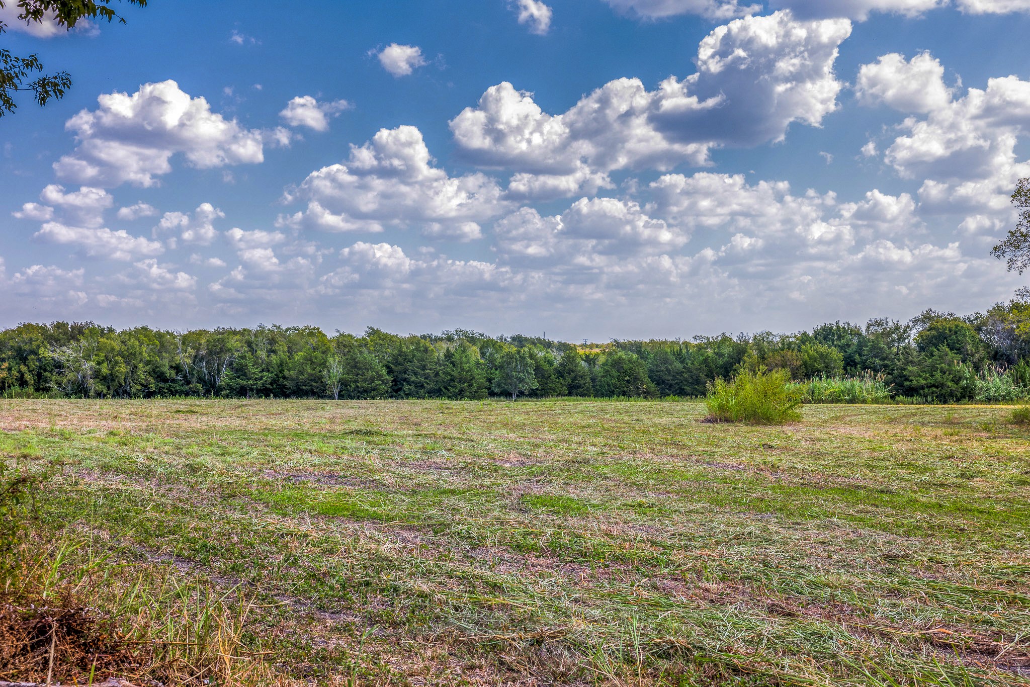 1450 Fm 2502 Road Property Photo 29
