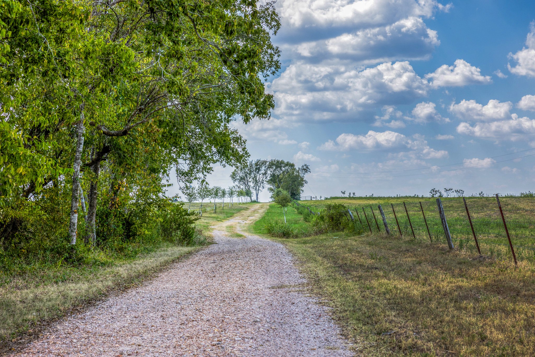 1450 Fm 2502 Road Property Photo 33