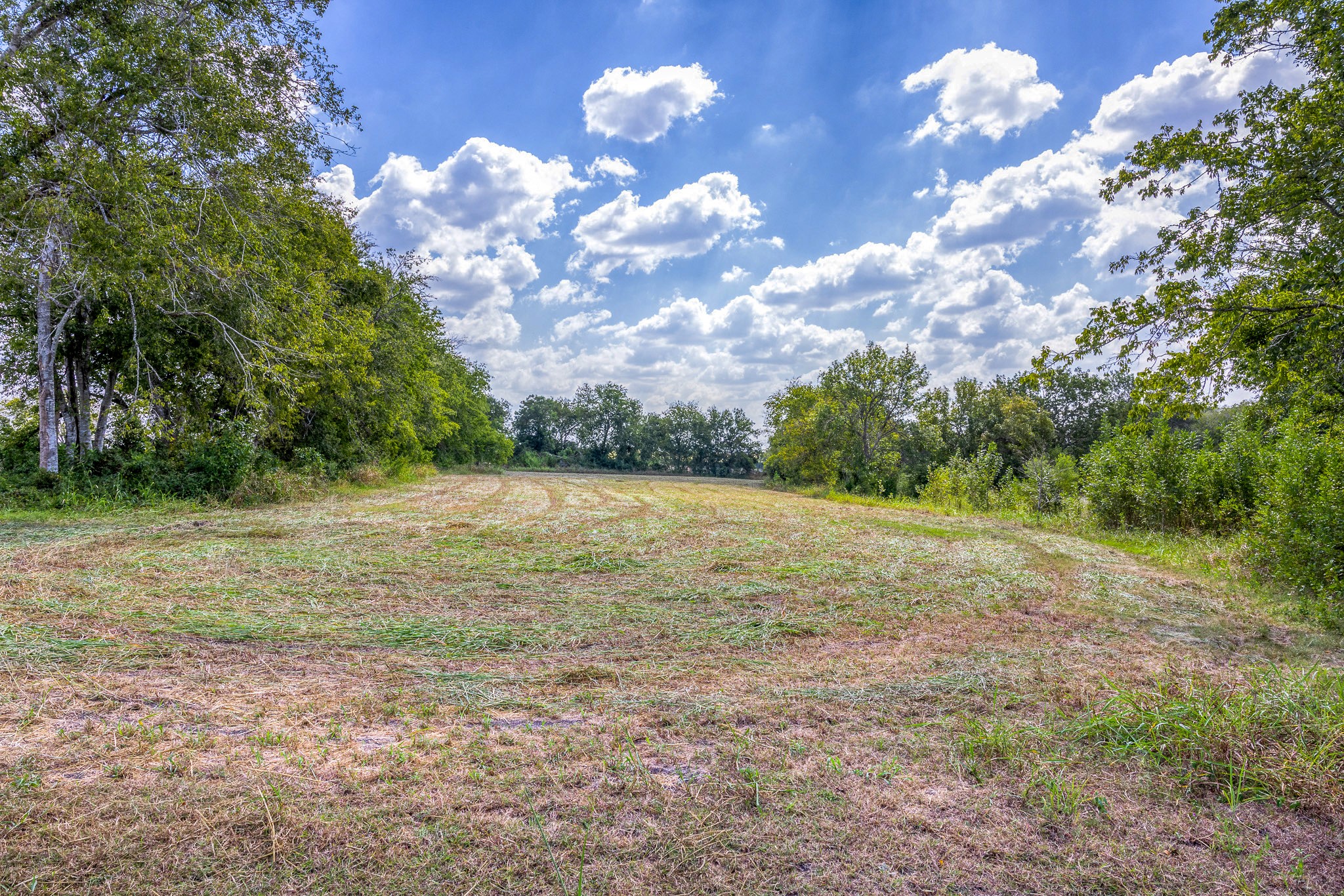 1450 Fm 2502 Road Property Photo 34