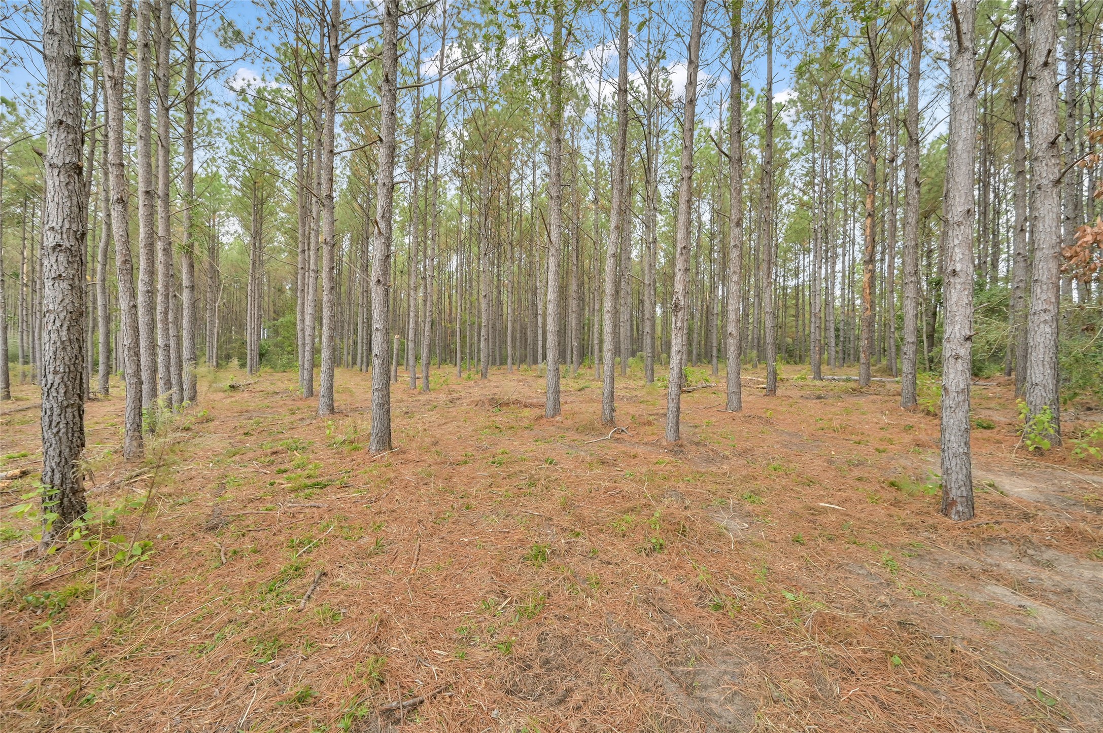 12801 Oak Barrel Road Property Photo 7