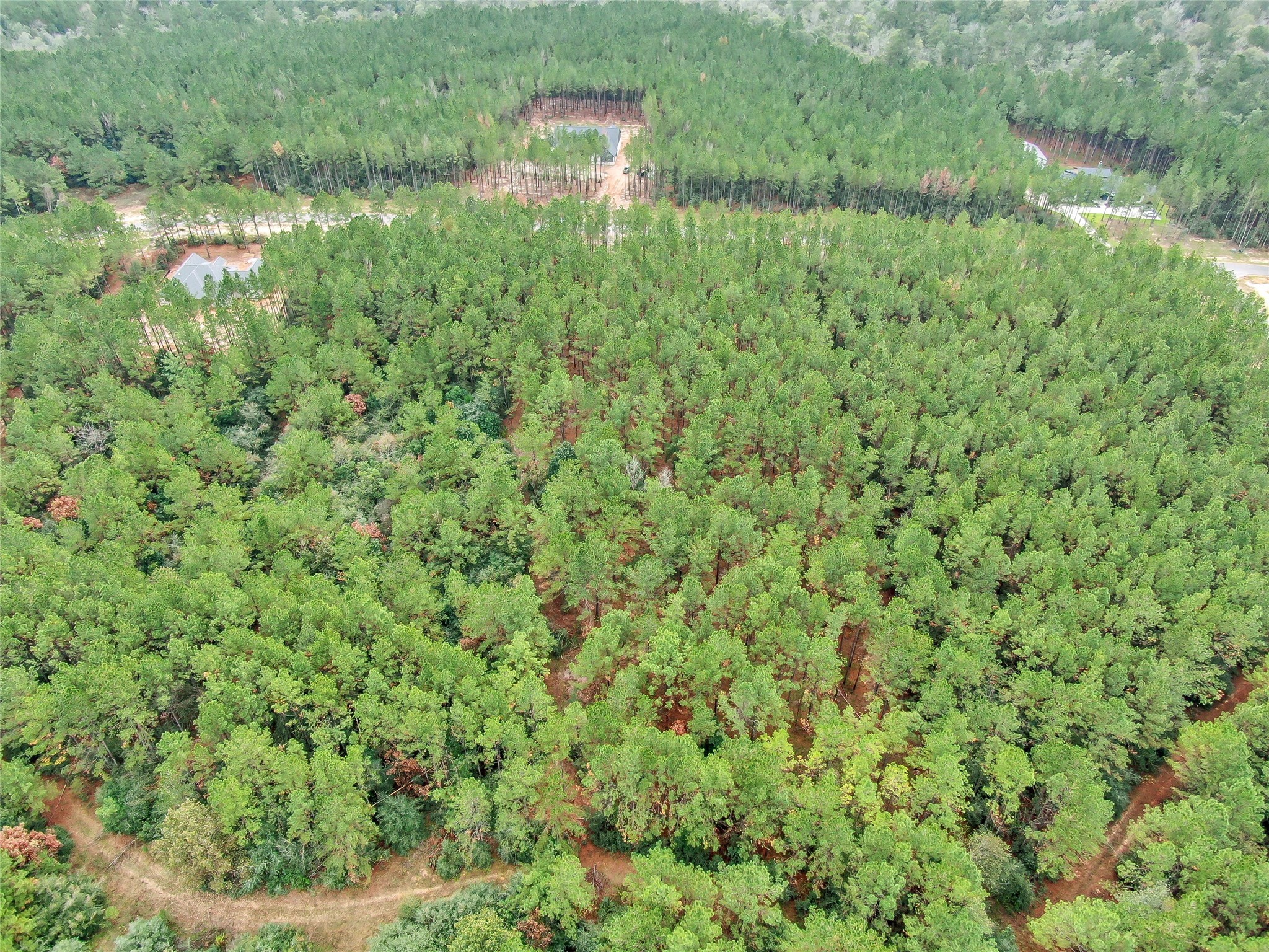 12801 Oak Barrel Road Property Photo 14