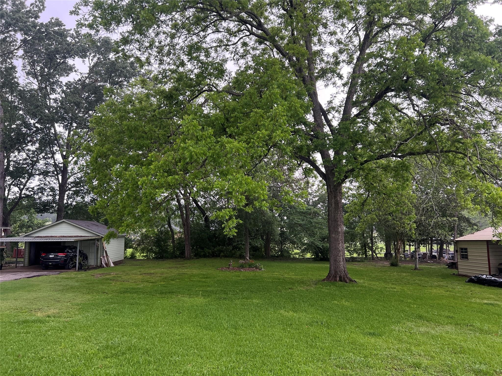 Tbd Cove Loop Property Photo 1
