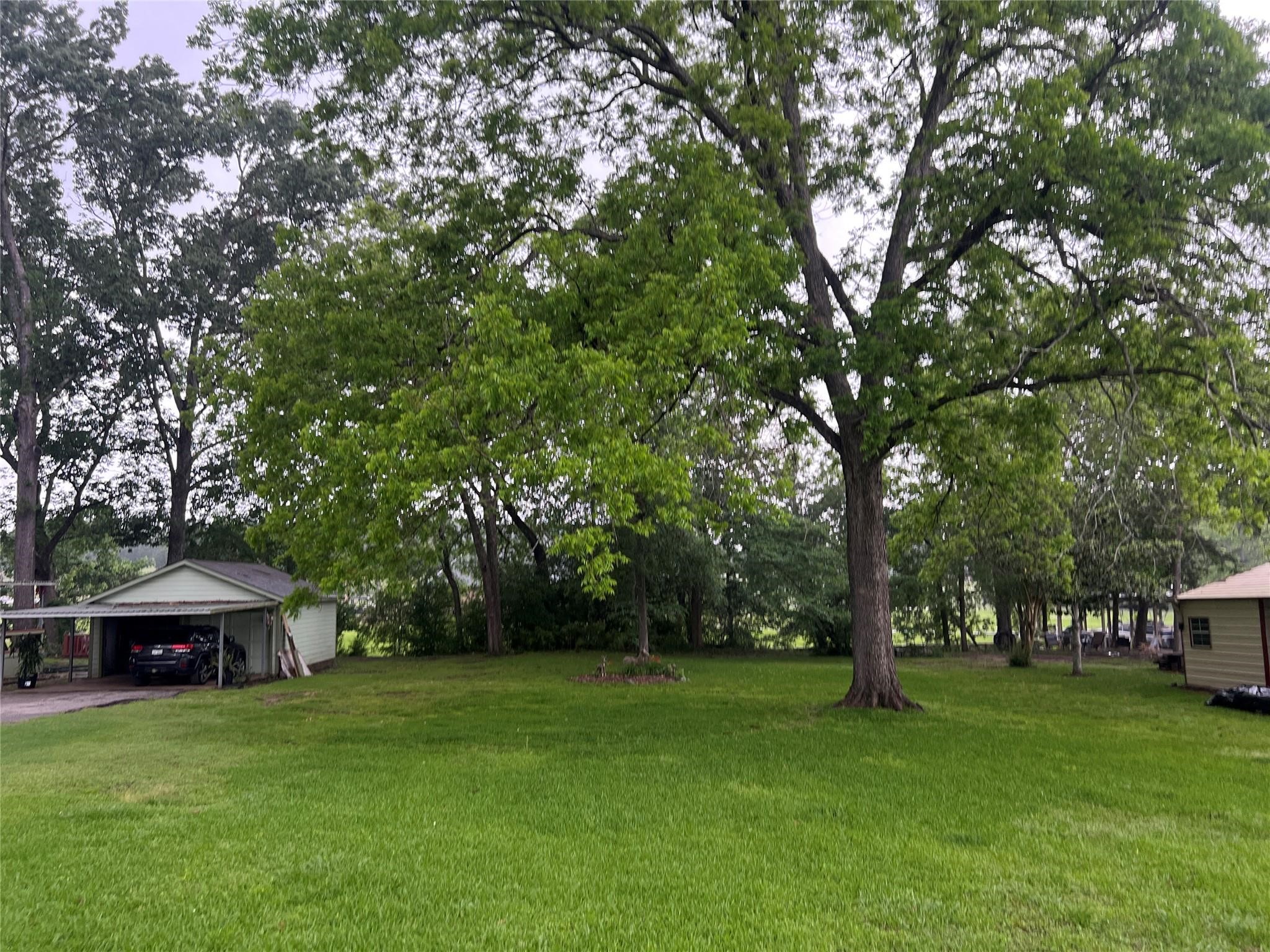 Tbd Cove Loop Property Photo 2