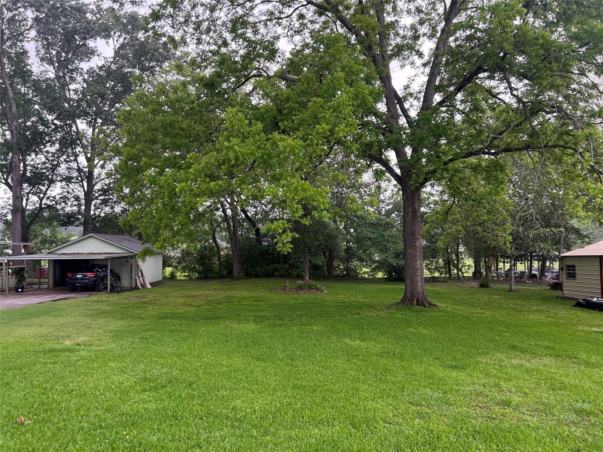 Tbd Cove Loop Property Photo 3