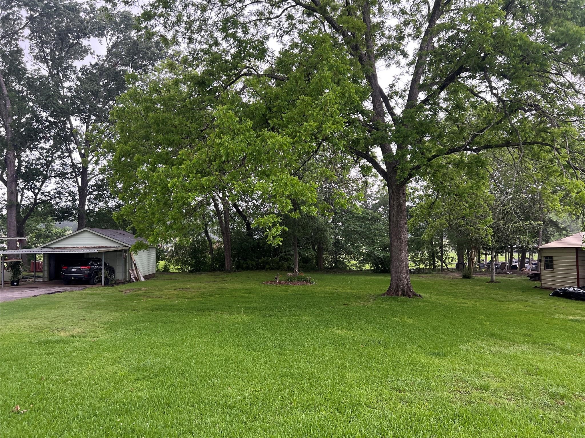 Tbd Cove Loop Property Photo 4