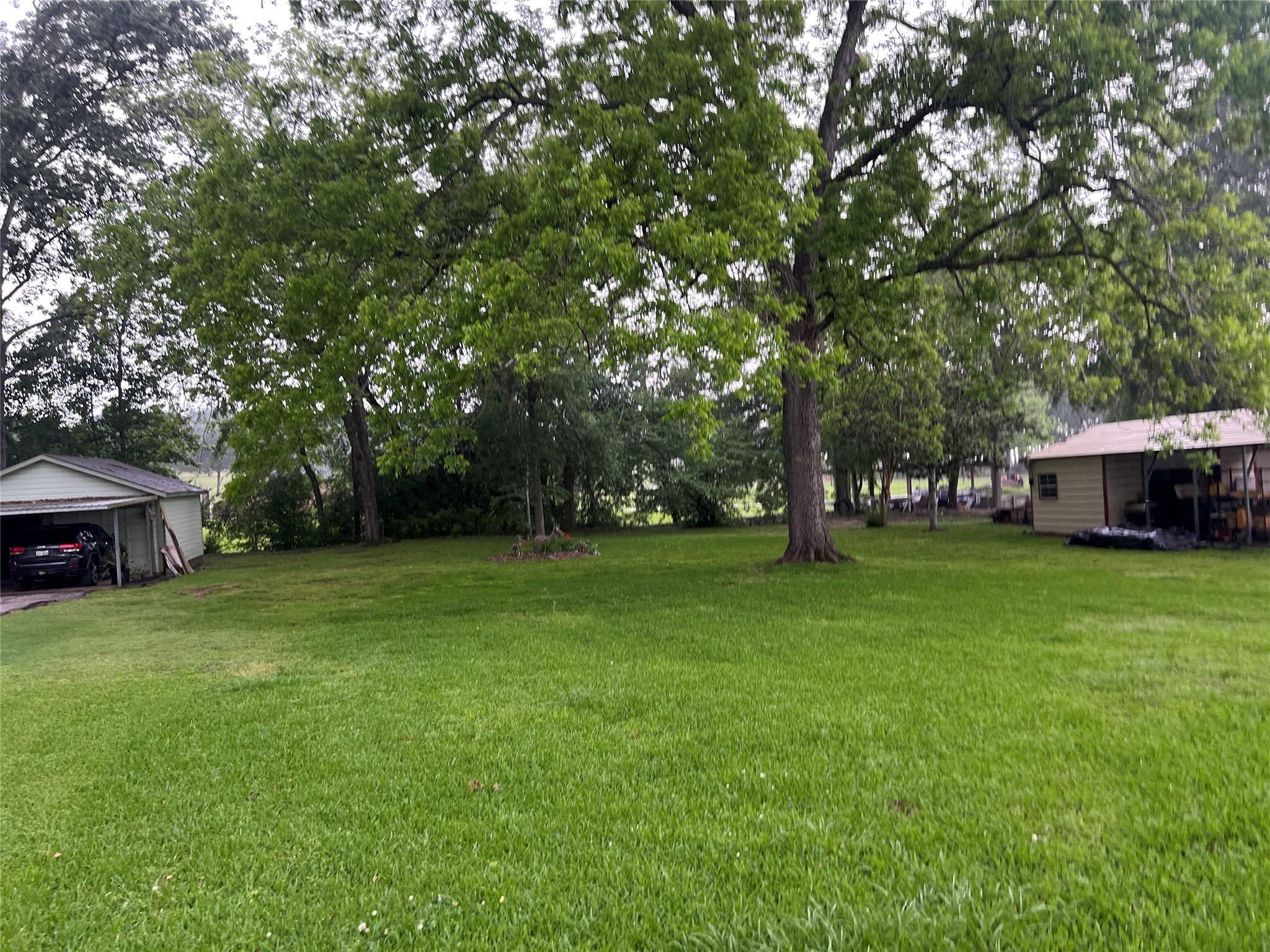 Tbd Cove Loop Property Photo 5