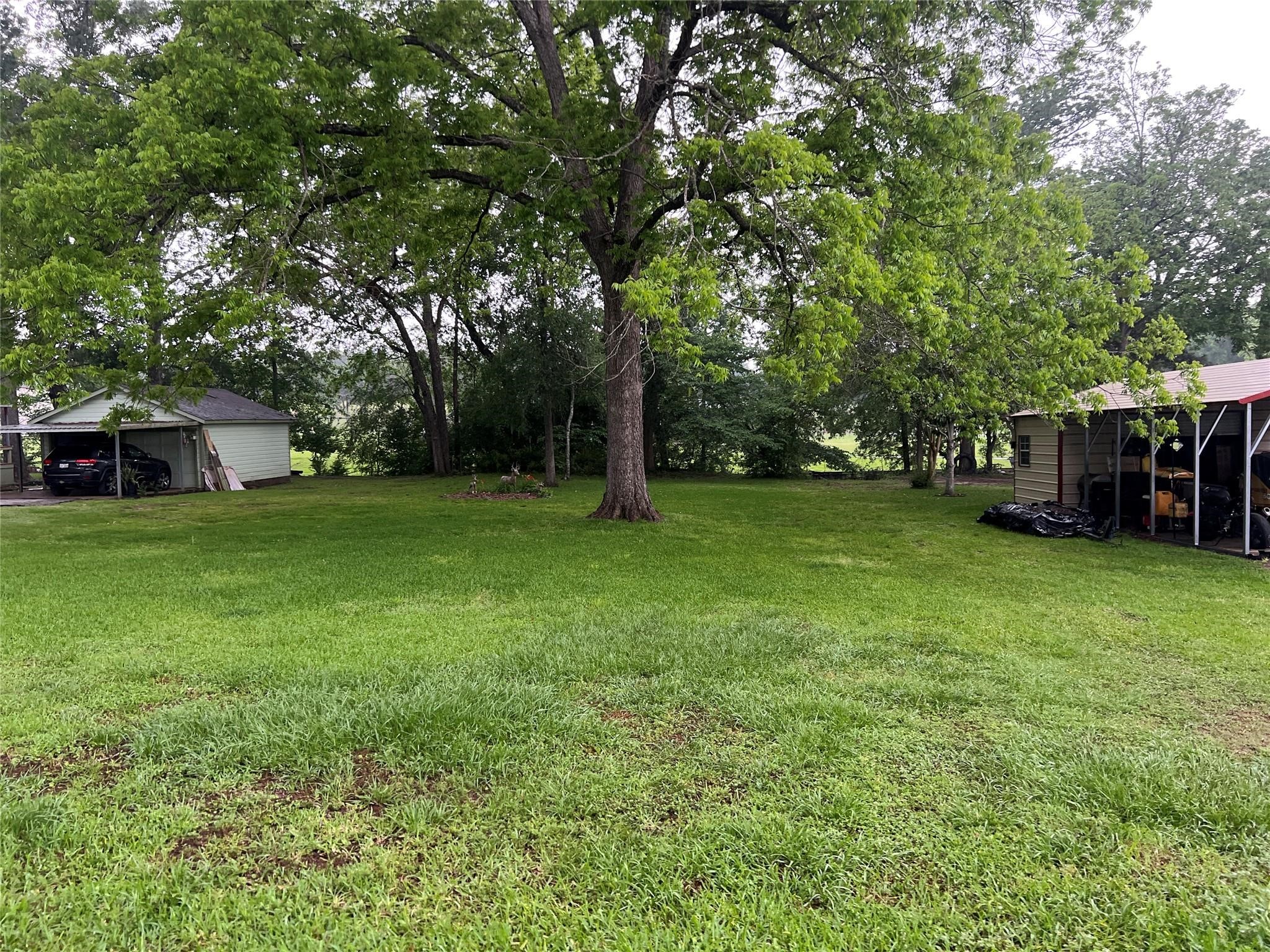 Tbd Cove Loop Property Photo 6
