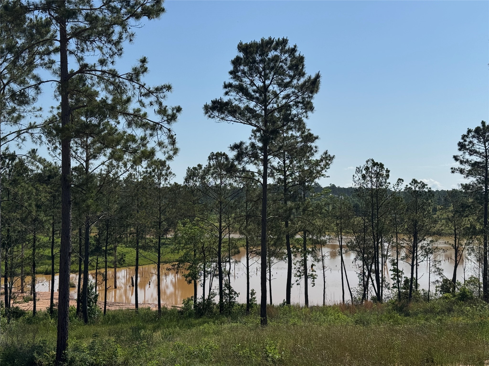 Tbd Western Road Property Photo 1