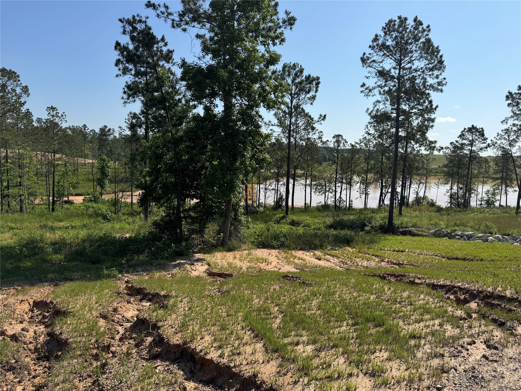 Tbd Western Road Property Photo 2