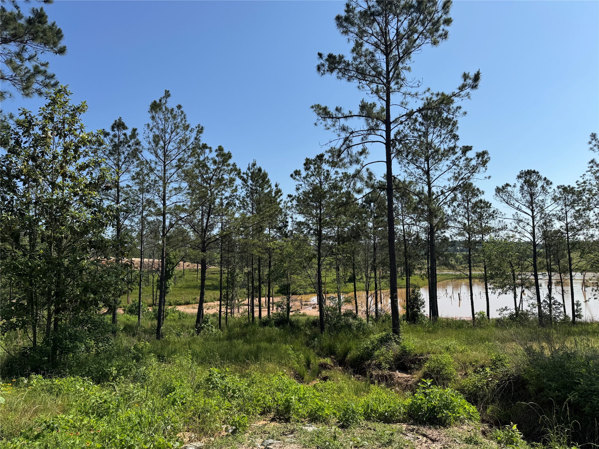 Tbd Western Road Property Photo 3