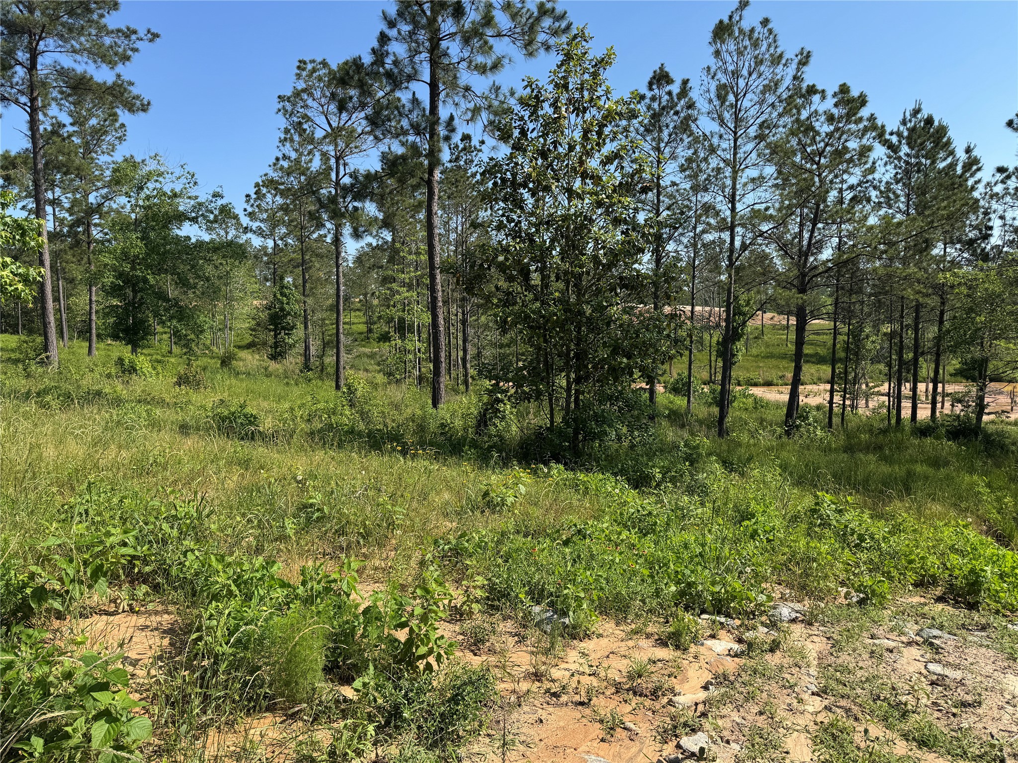 Tbd Western Road Property Photo 4