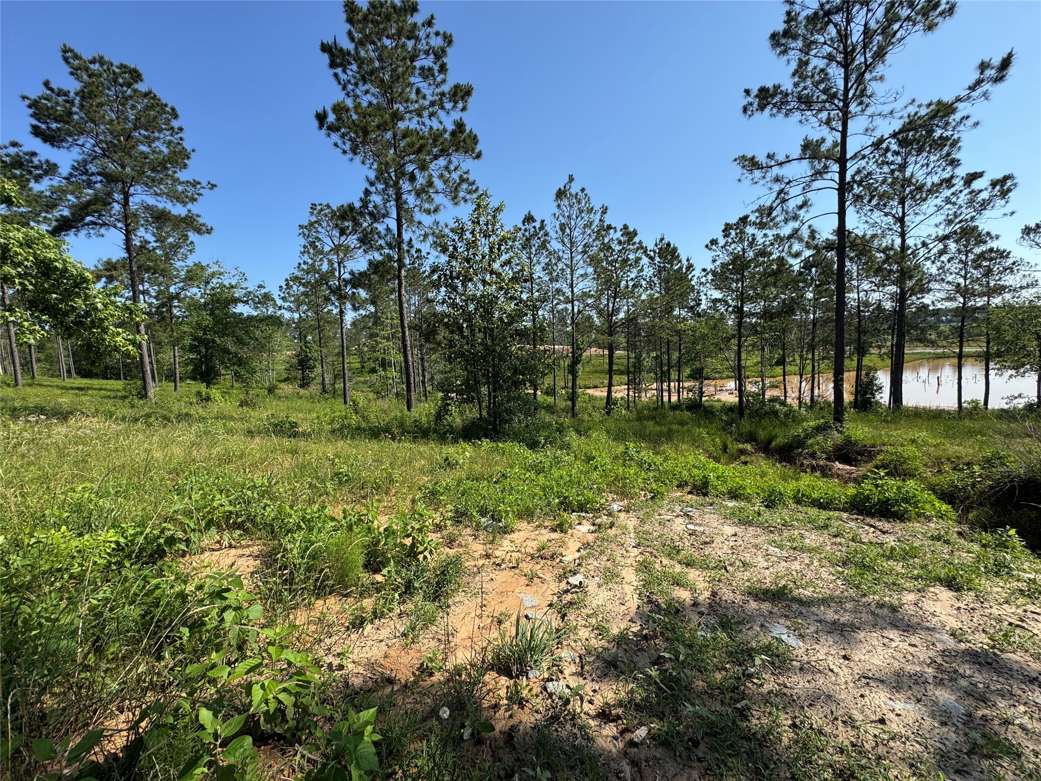 Tbd Western Road Property Photo 5