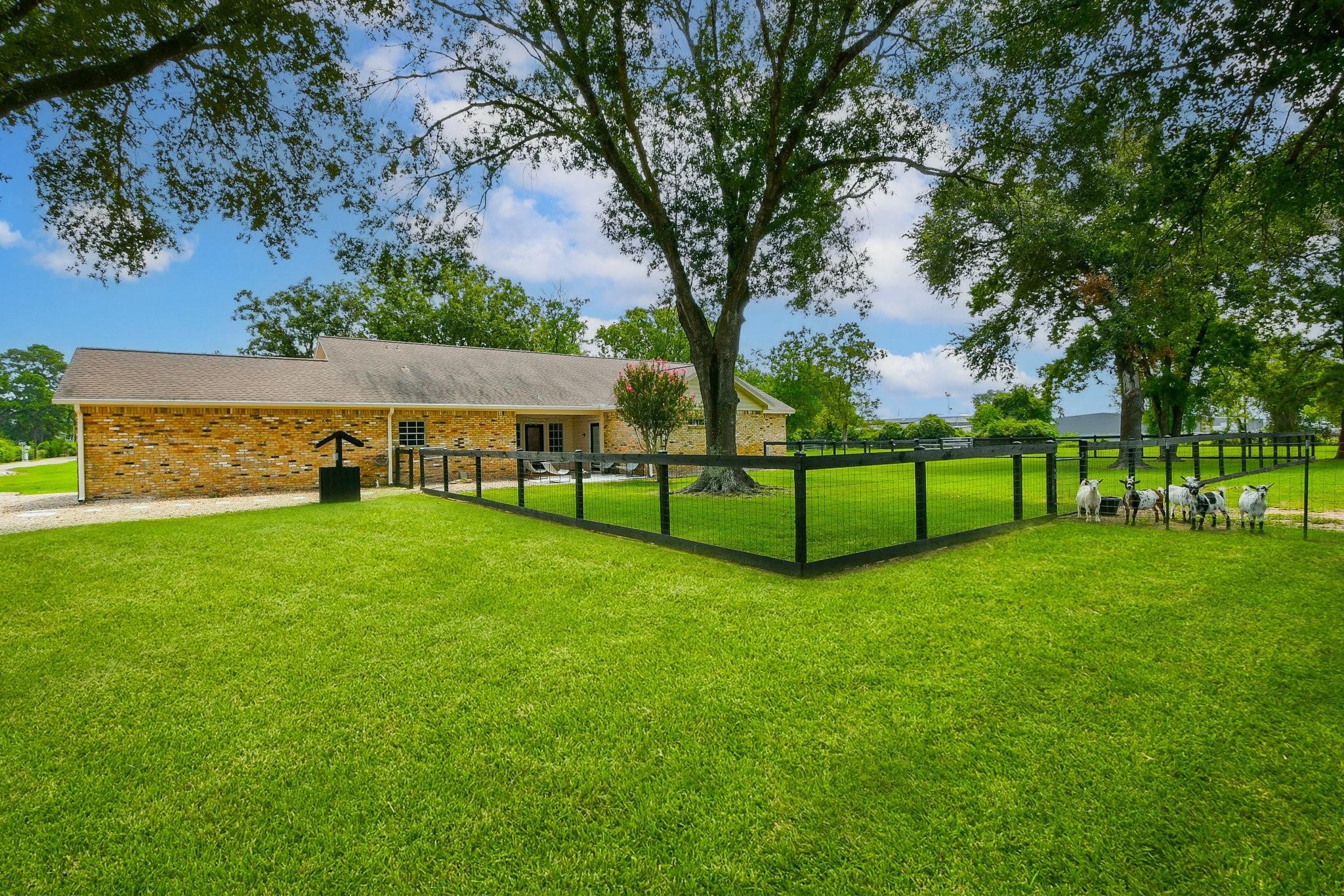 22035 Buescher Road Property Photo 29