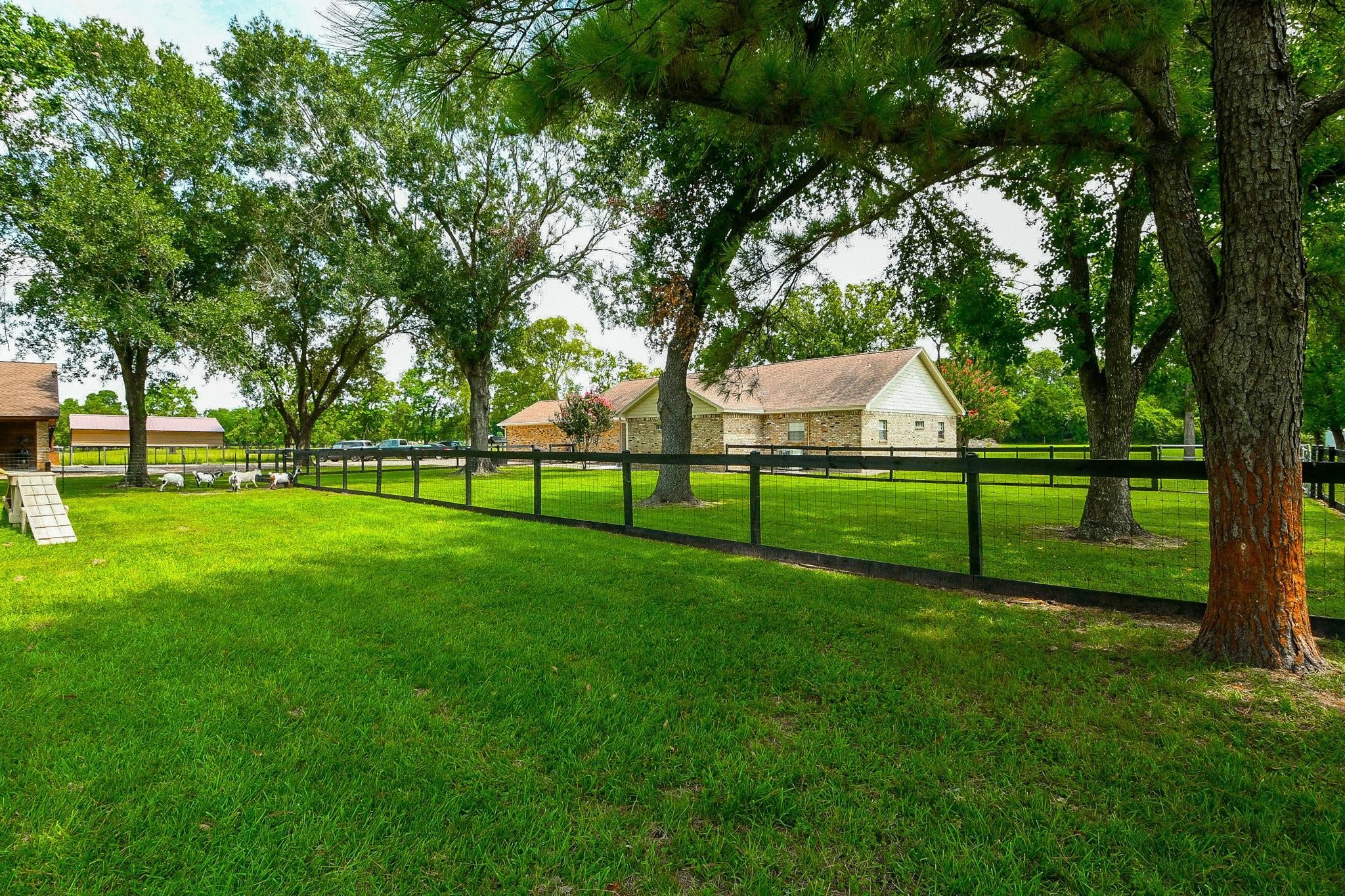 22035 Buescher Road Property Photo 30
