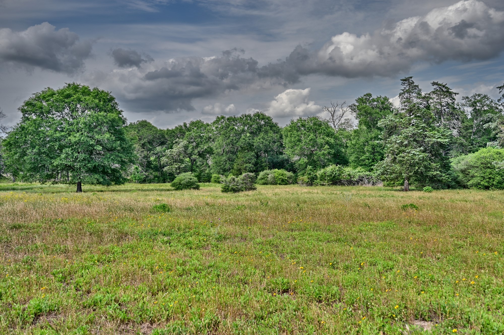 17718 Tranquil Lane Property Photo 1