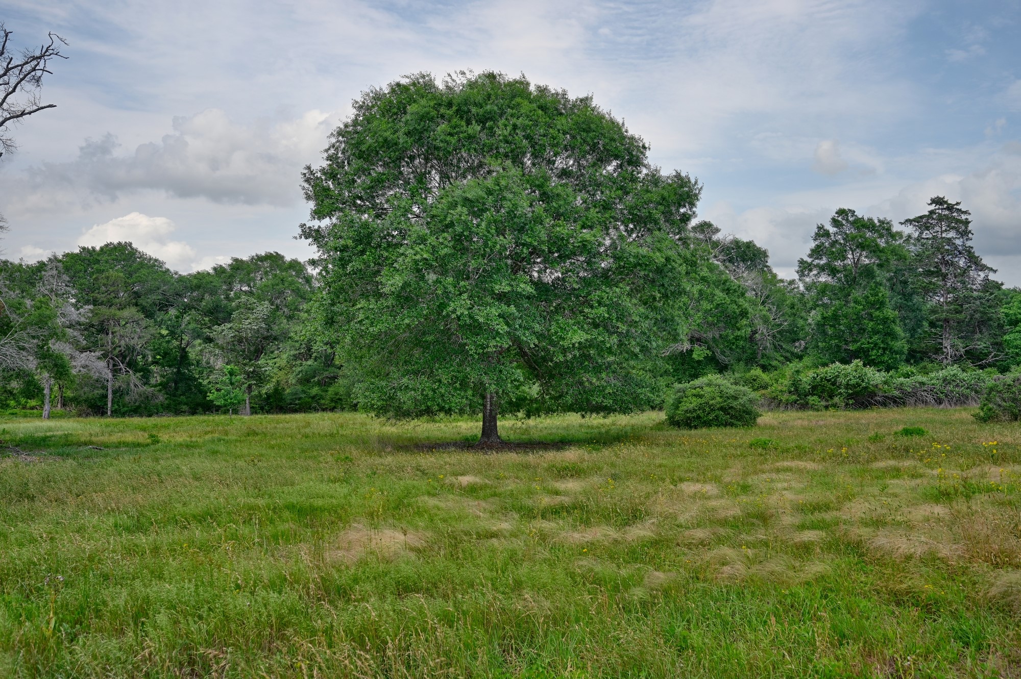 17718 Tranquil Lane Property Photo 2
