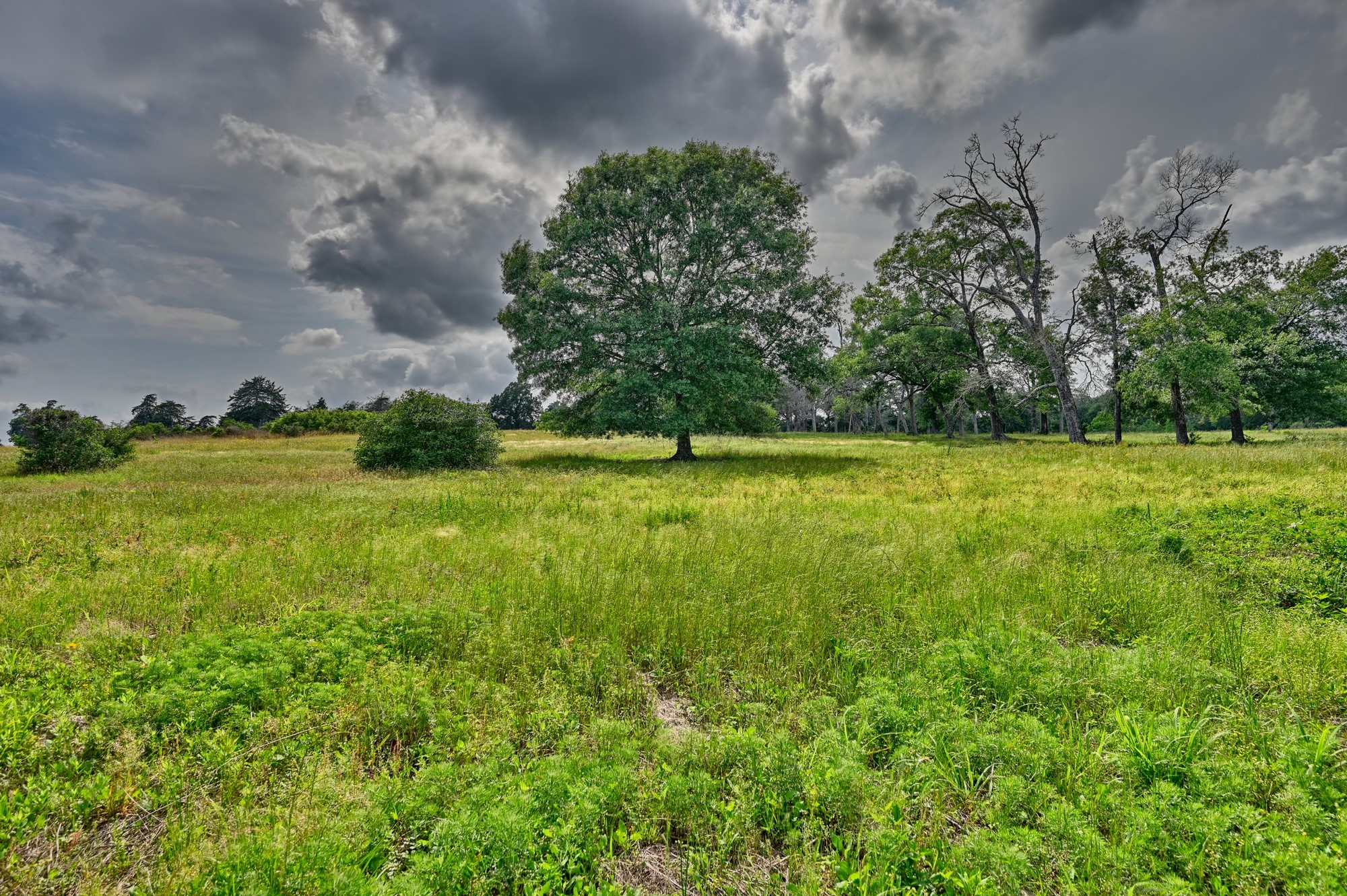 17718 Tranquil Lane Property Photo 3