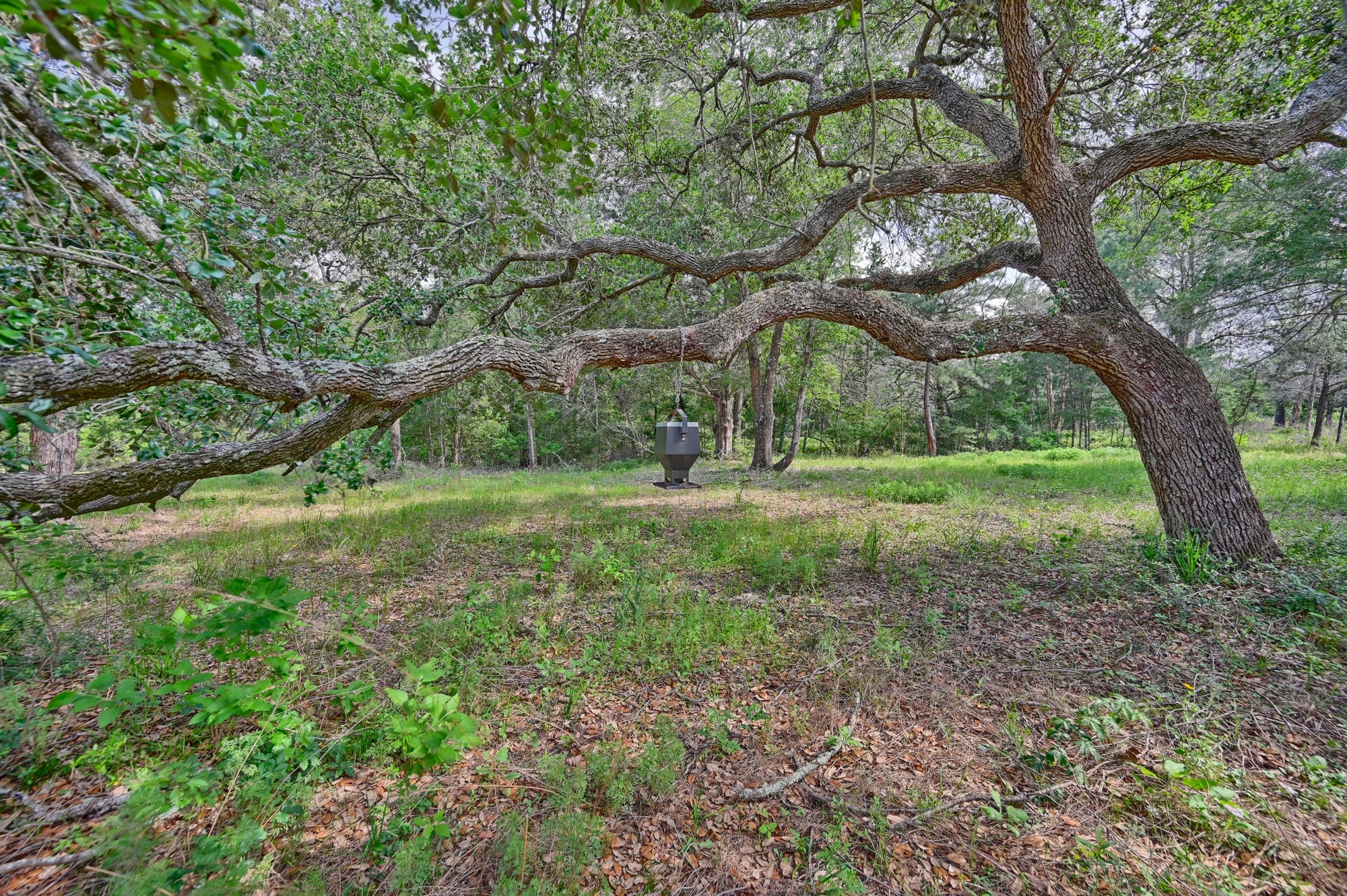 17718 Tranquil Lane Property Photo 5