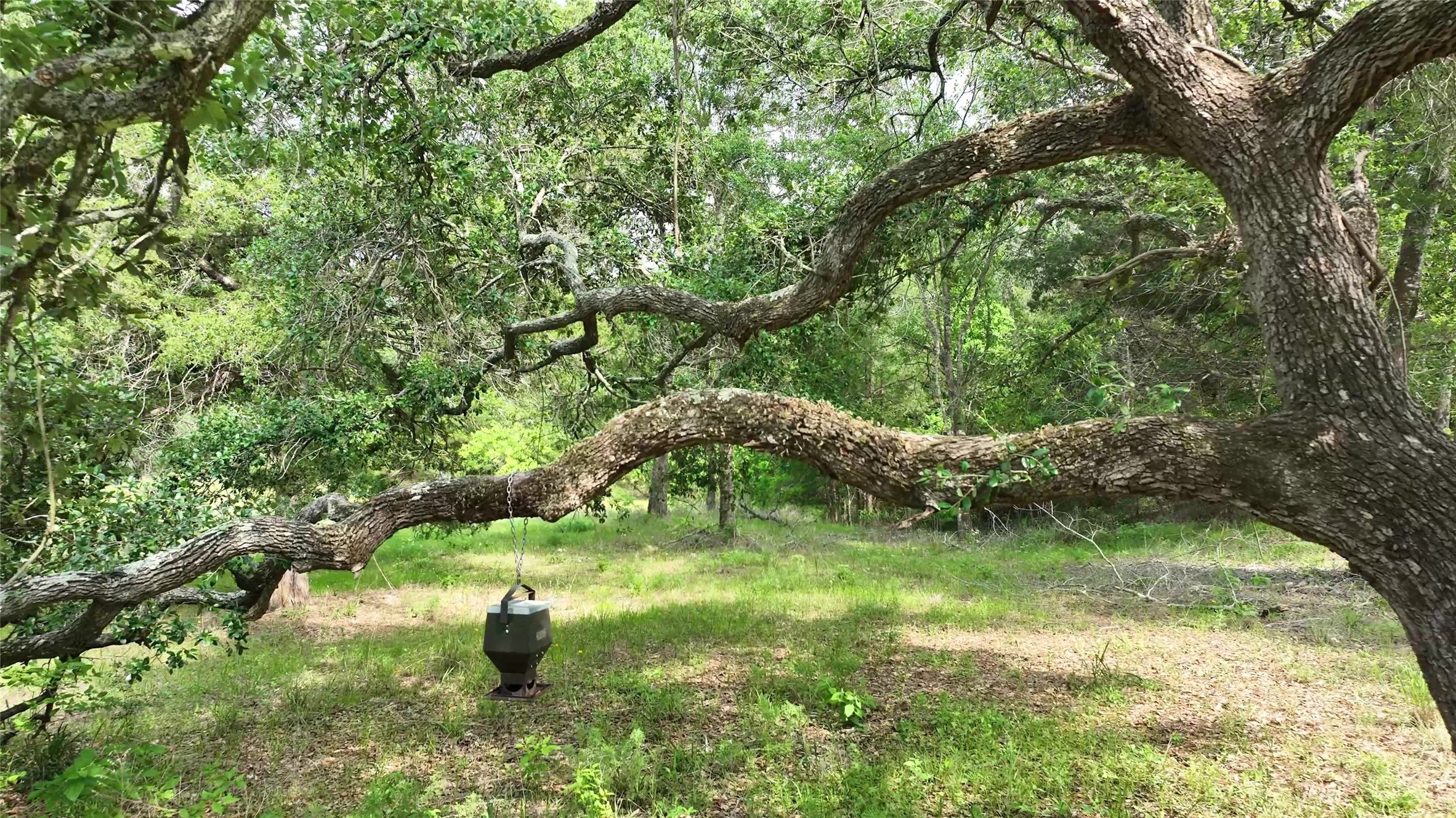 17718 Tranquil Lane Property Photo 6