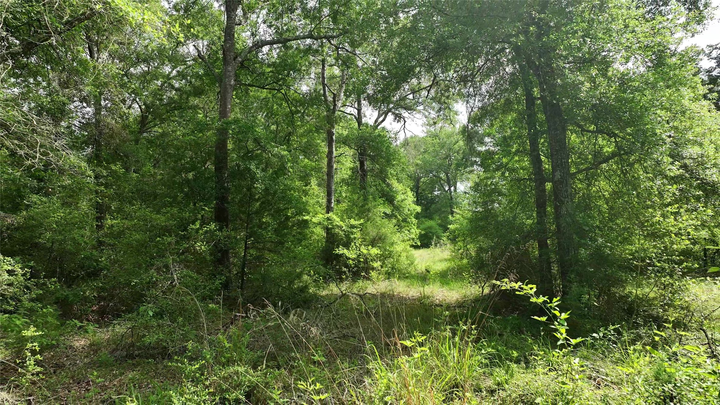 17718 Tranquil Lane Property Photo 7