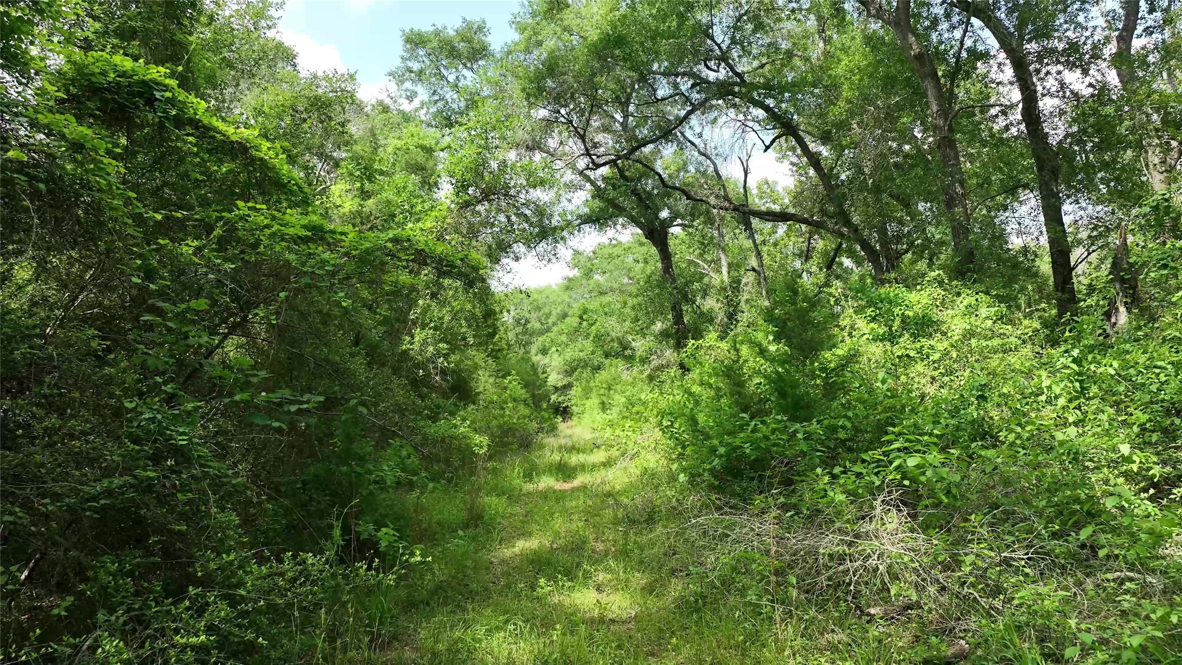 17718 Tranquil Lane Property Photo 8