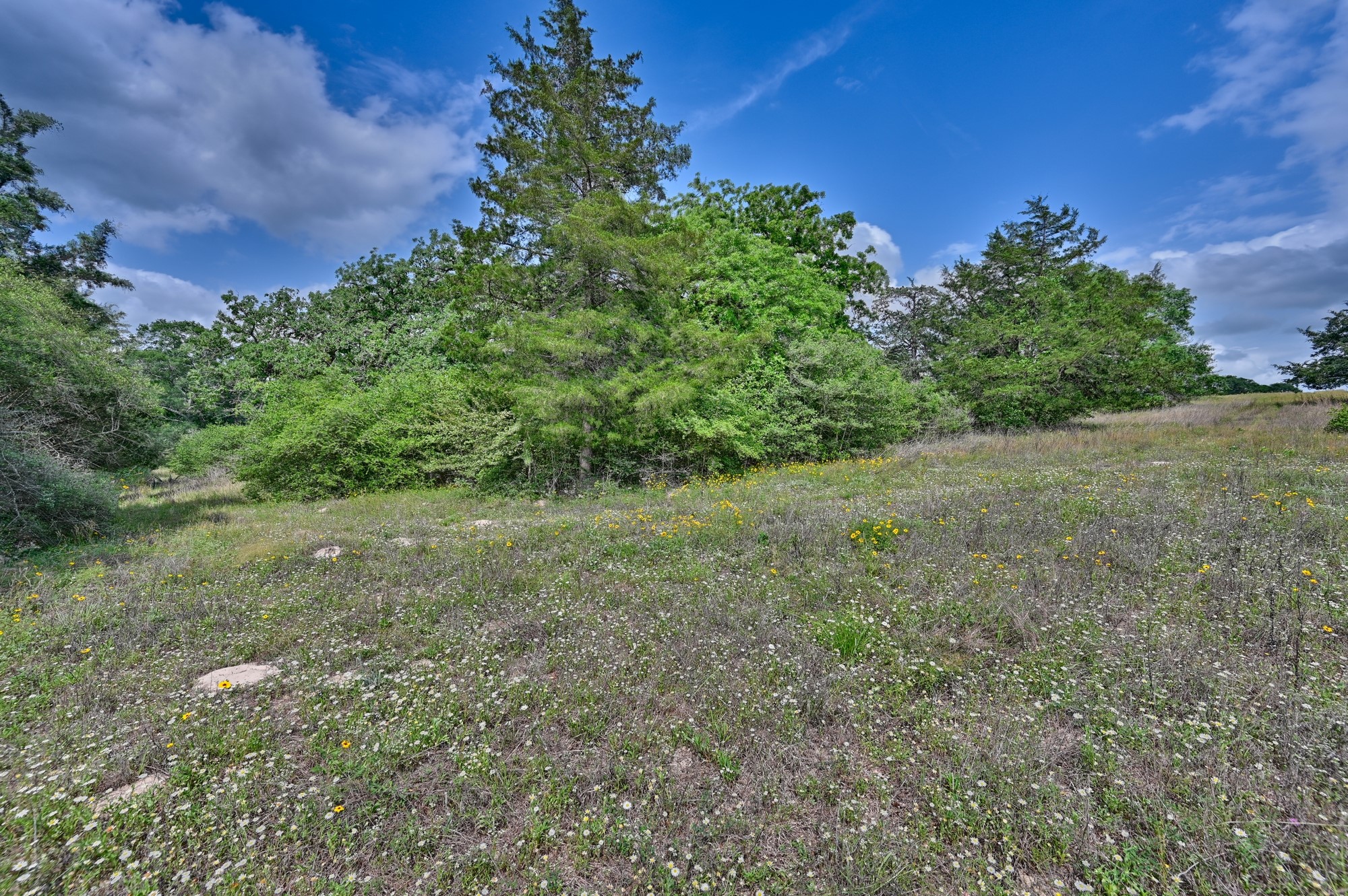 17718 Tranquil Lane Property Photo 9